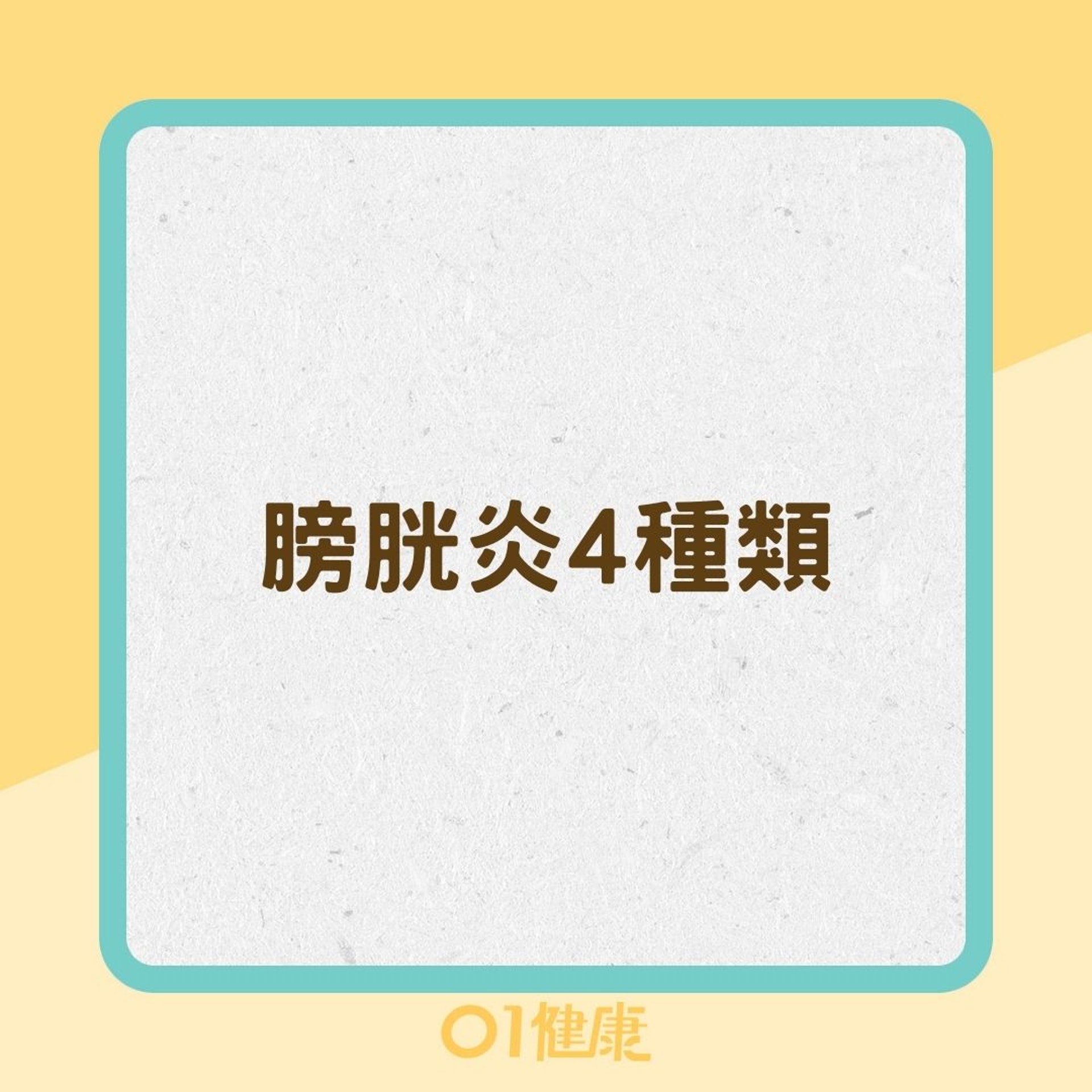 膀胱炎4種類(01製圖) 膀胱炎4種類(01製圖)