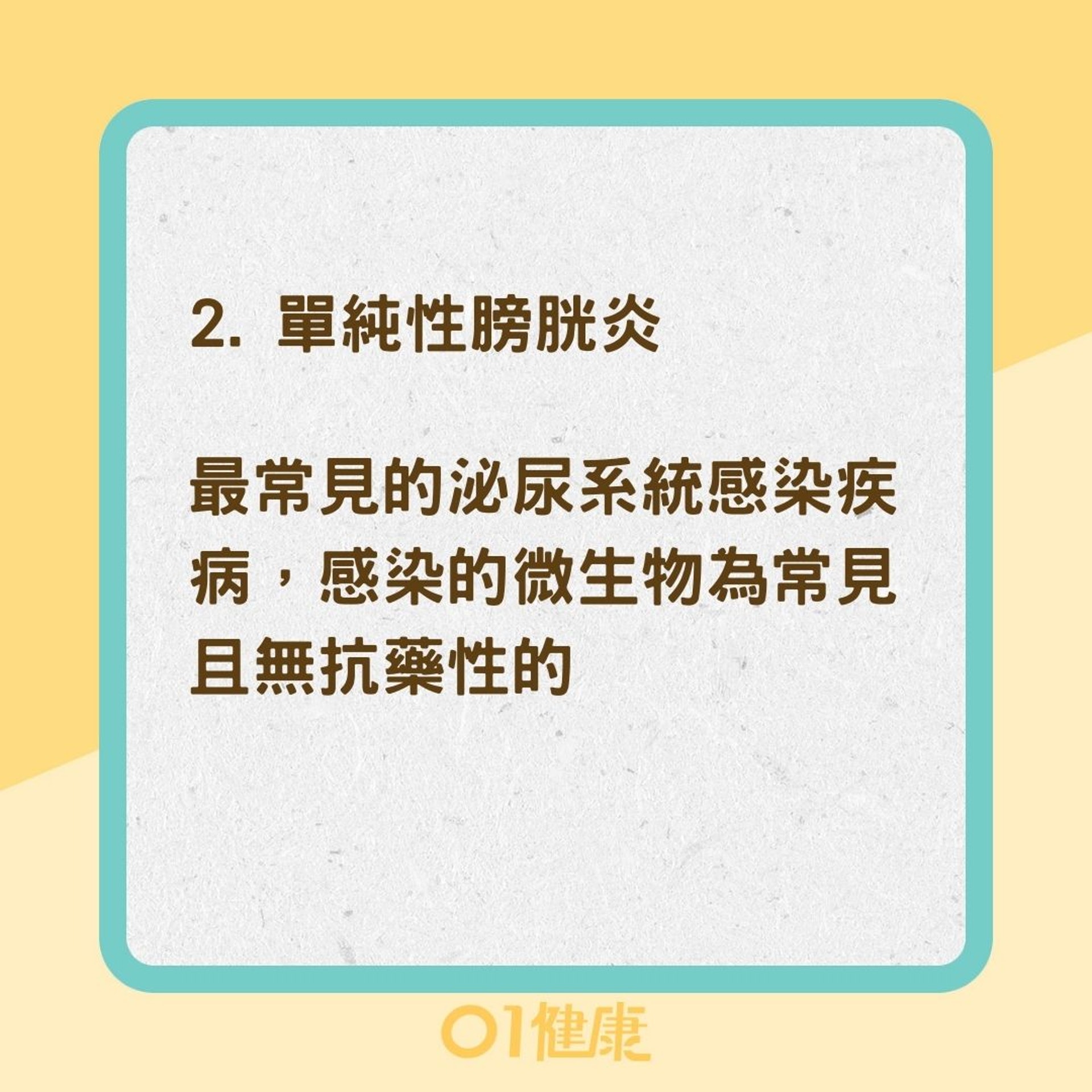 膀胱炎4種類(01製圖) 膀胱炎4種類(01製圖)