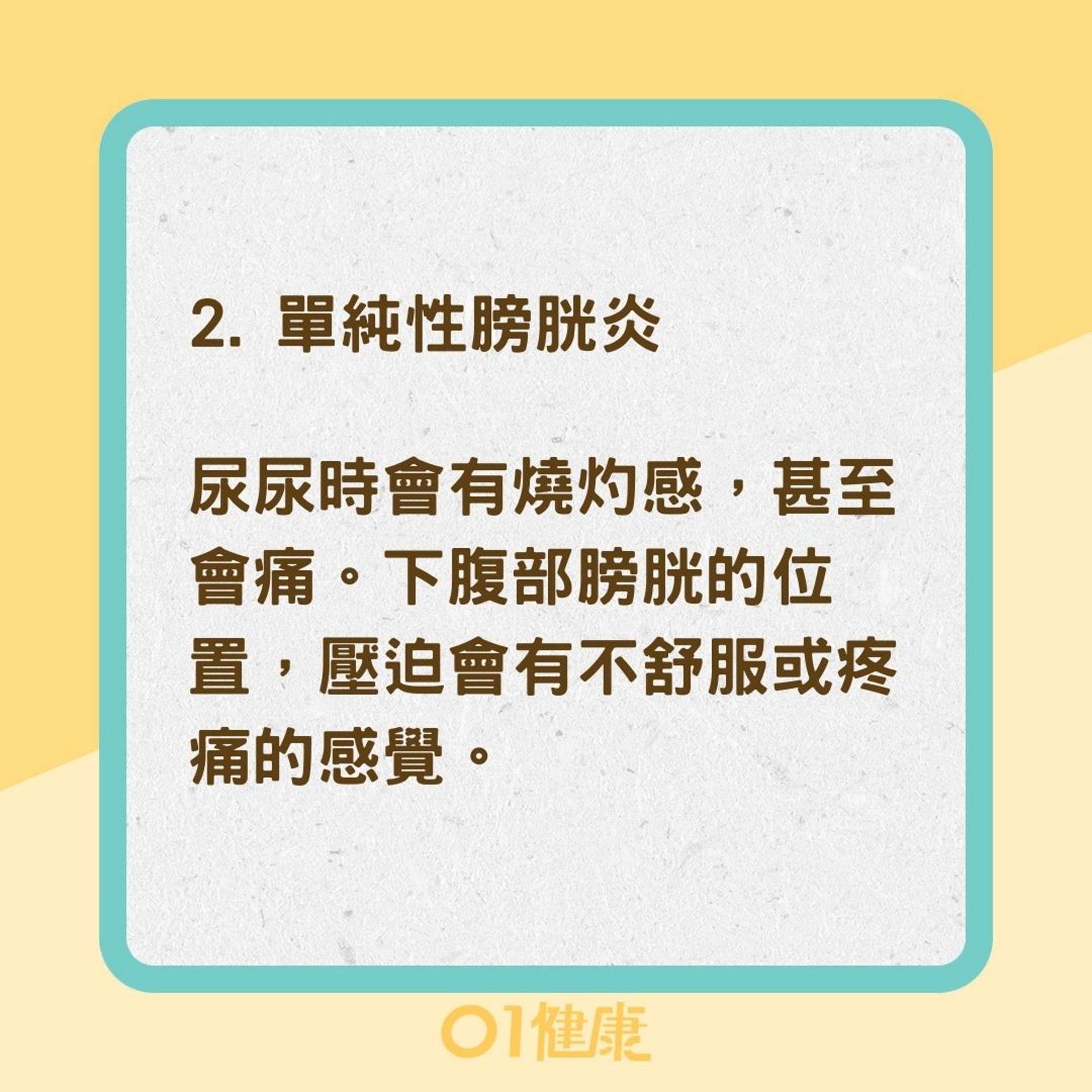 膀胱炎4種類(01製圖) 膀胱炎4種類(01製圖)