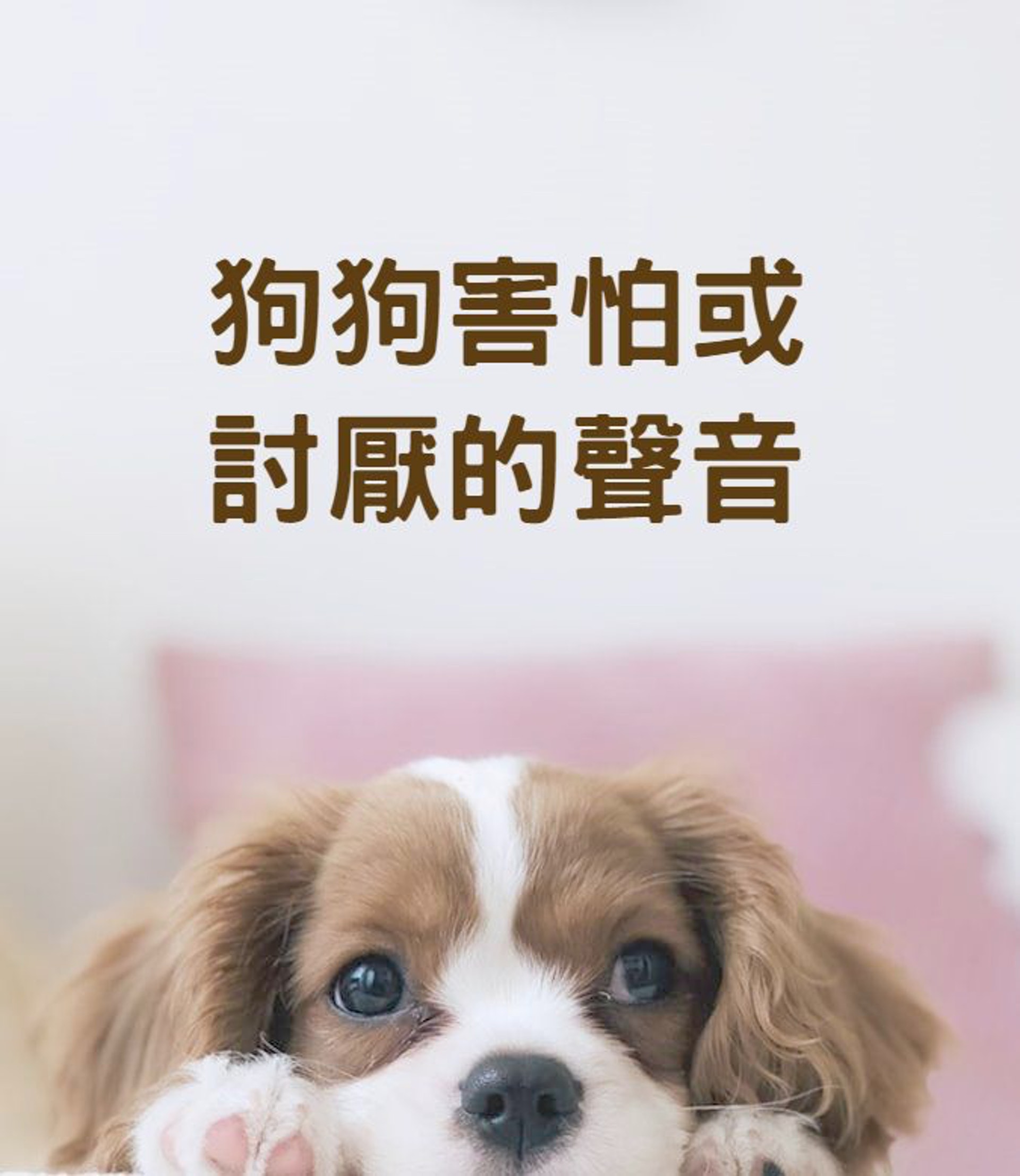 狗狗害怕或討厭的聲音(01製圖) 狗狗害怕或討厭的聲音(01製圖)