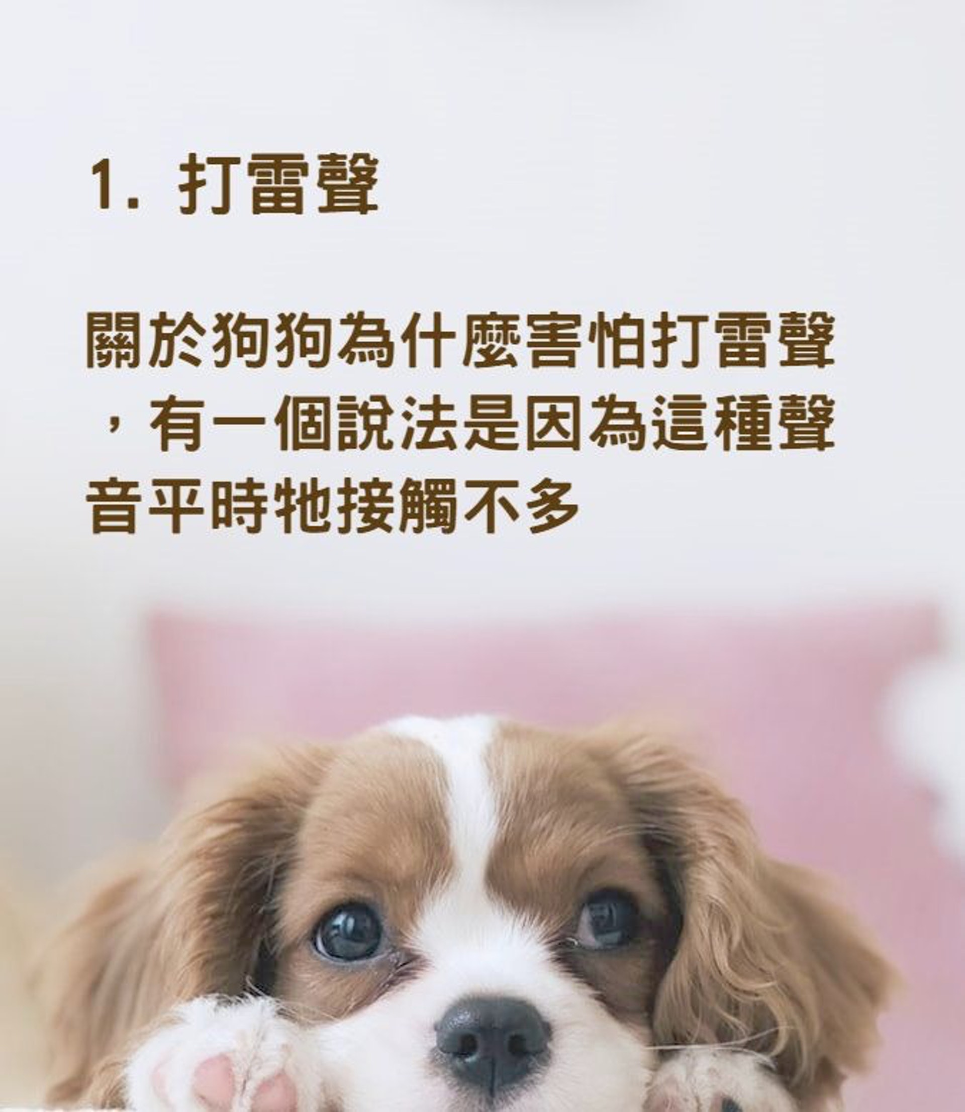 狗狗害怕或討厭的聲音(01製圖) 狗狗害怕或討厭的聲音(01製圖)