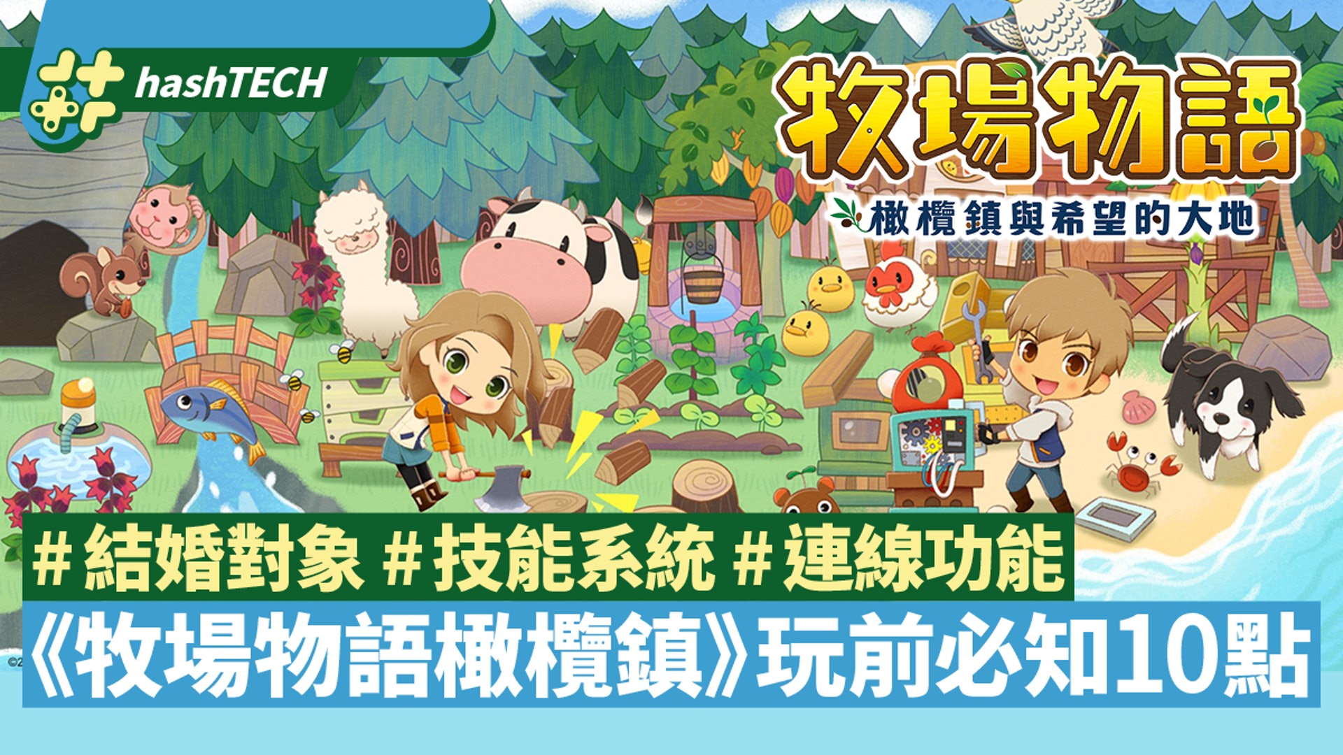 Switch牧場物語橄欖鎮 結婚對象 技能系統玩前必知10個重點 香港01 遊戲動漫 Switch牧場物語橄欖鎮 結婚對象 技能系統玩前必知10個重點 香港01 遊戲動漫