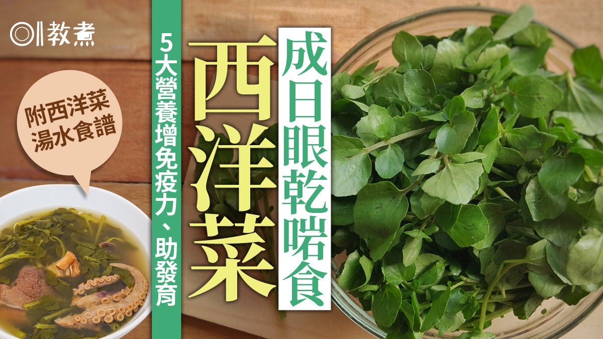 西洋菜營養|富含維他命A常乾眼者多吃 簡單烚煮美味兼增免疫力 西洋菜營養|富含維他命A常乾眼者多吃 簡單烚煮美味兼增免疫力