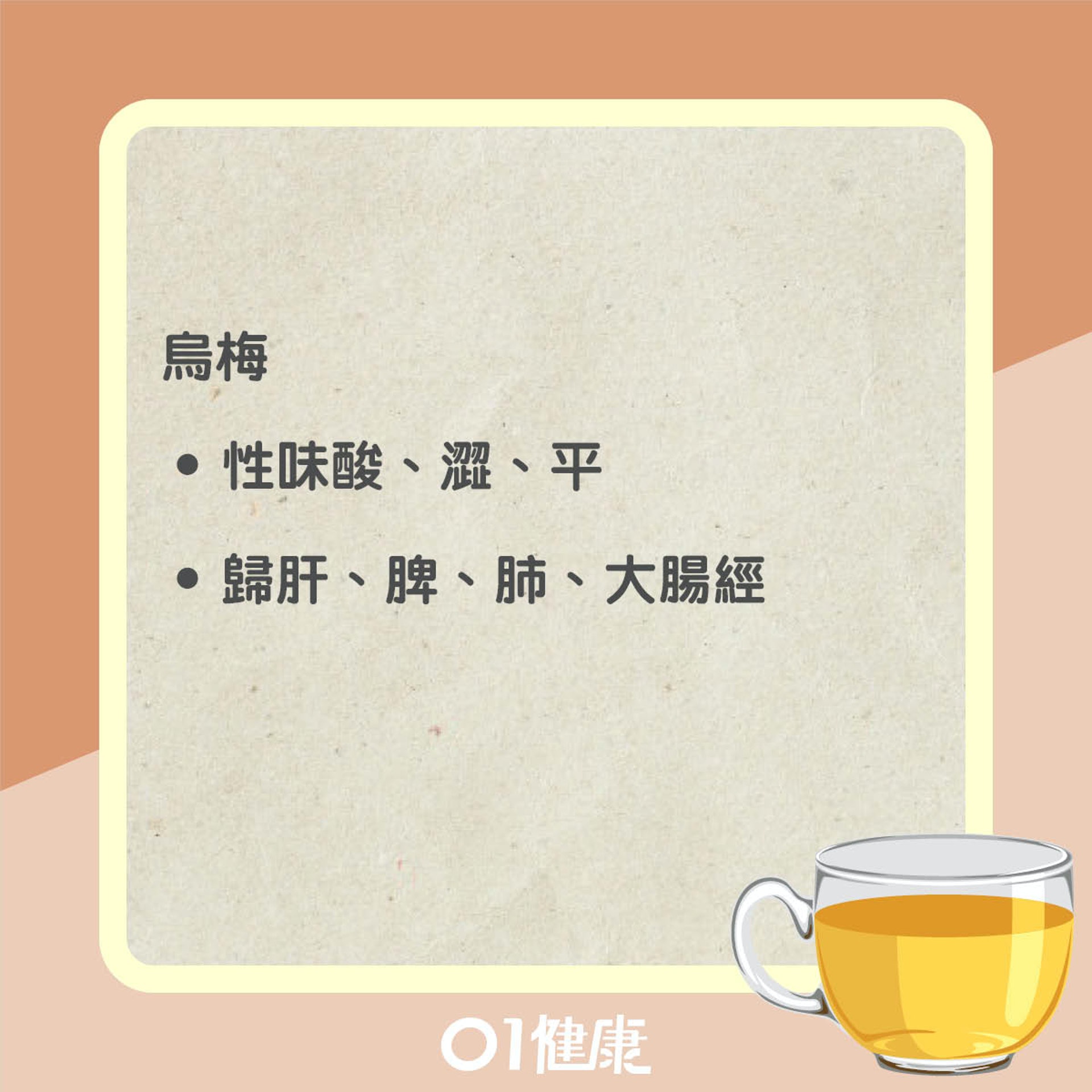 烏梅茶知多啲(01製圖) 烏梅茶知多啲(01製圖)