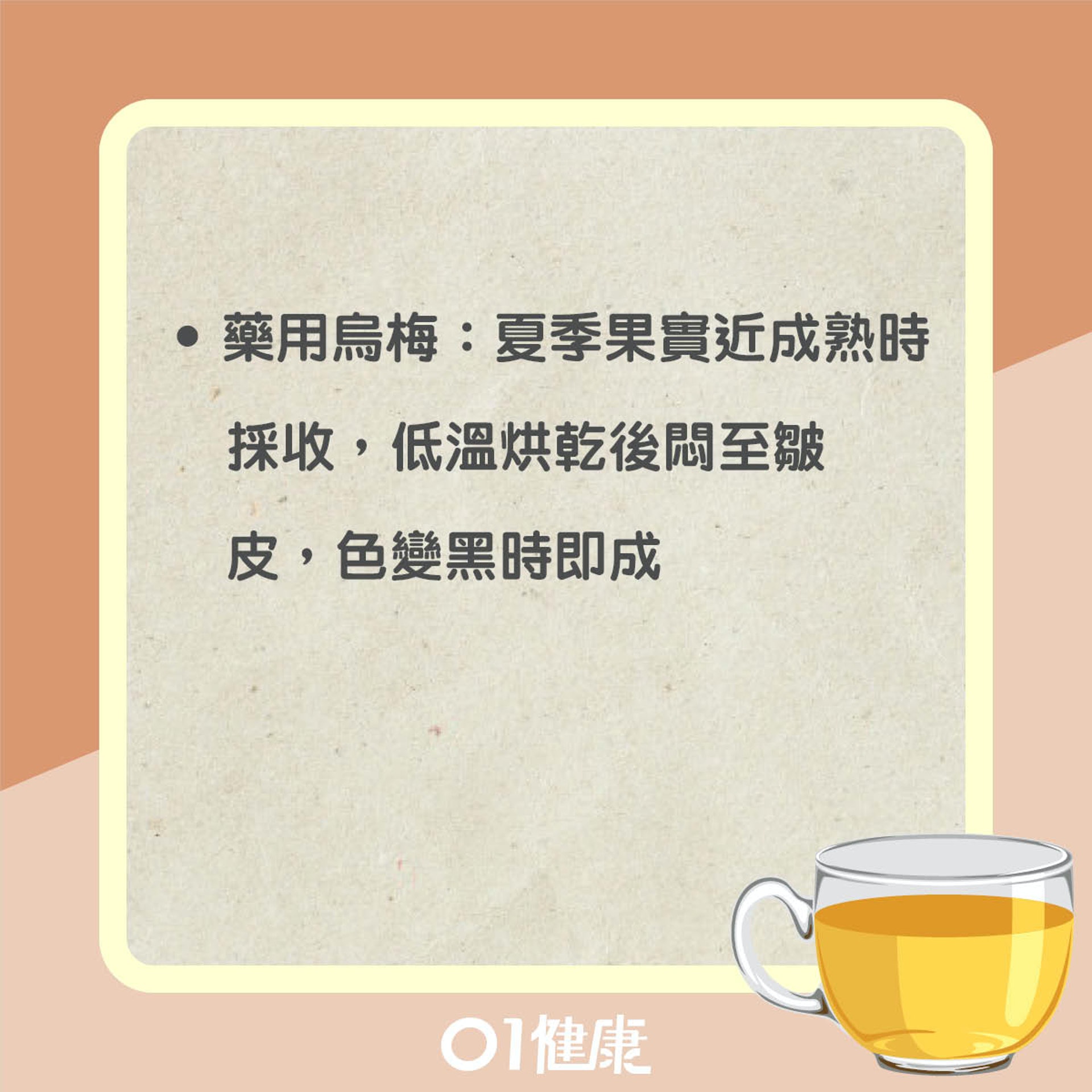 飲用烏梅茶注意事項(01製圖) 飲用烏梅茶注意事項(01製圖)