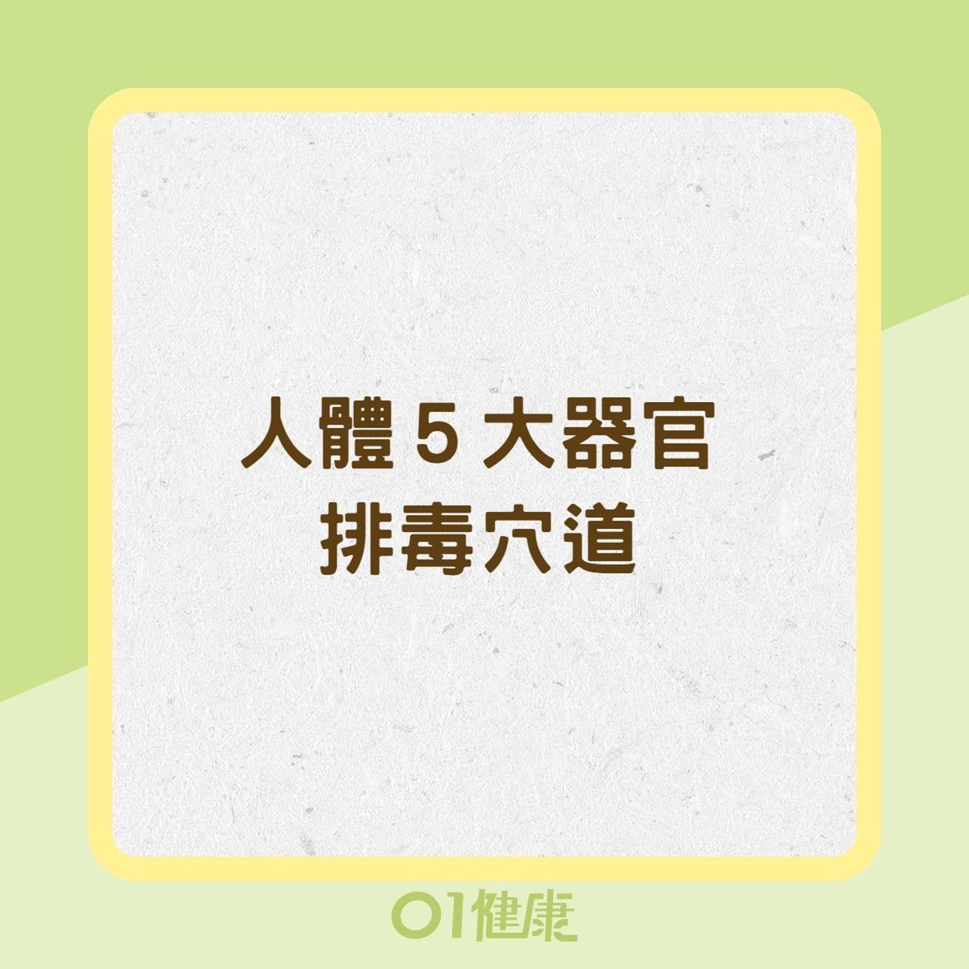 人體5大器官排毒穴道(01製圖) 人體5大器官排毒穴道(01製圖)