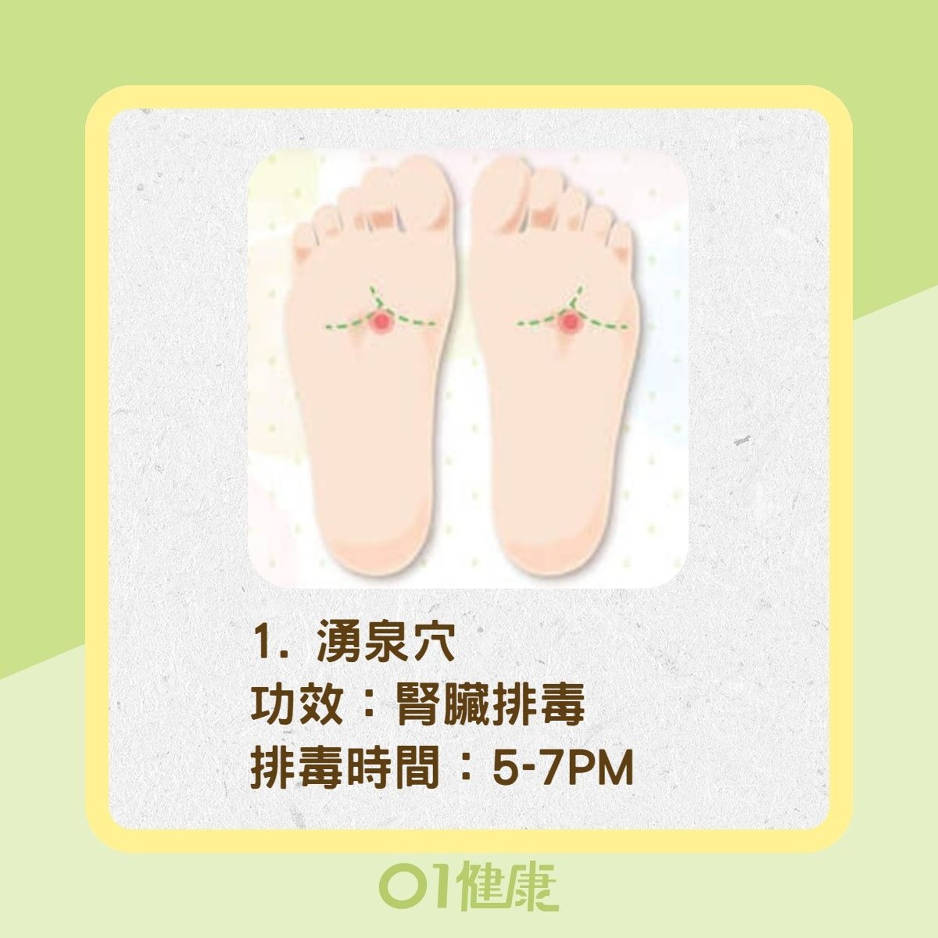 人體大器官排毒穴道(01製圖/Heho健康授權使用) 人體大器官排毒穴道(01製圖/Heho健康授權使用)