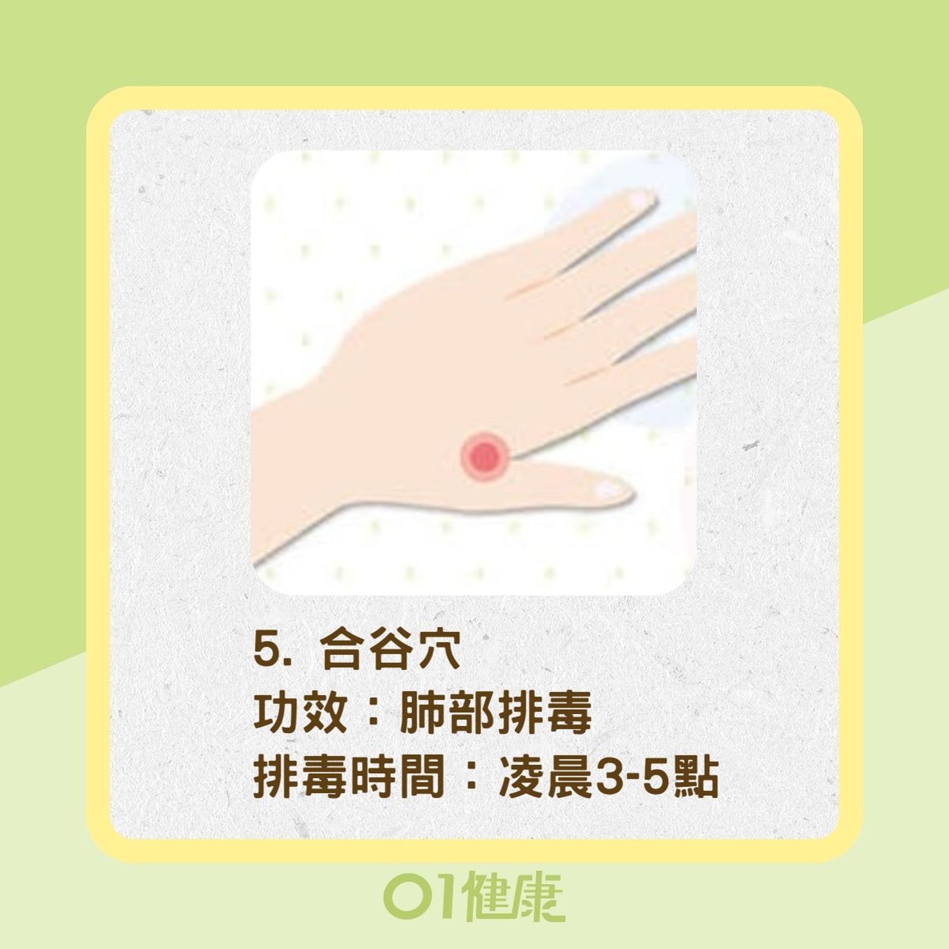 人體大器官排毒穴道(01製圖/Heho健康授權使用) 人體大器官排毒穴道(01製圖/Heho健康授權使用)