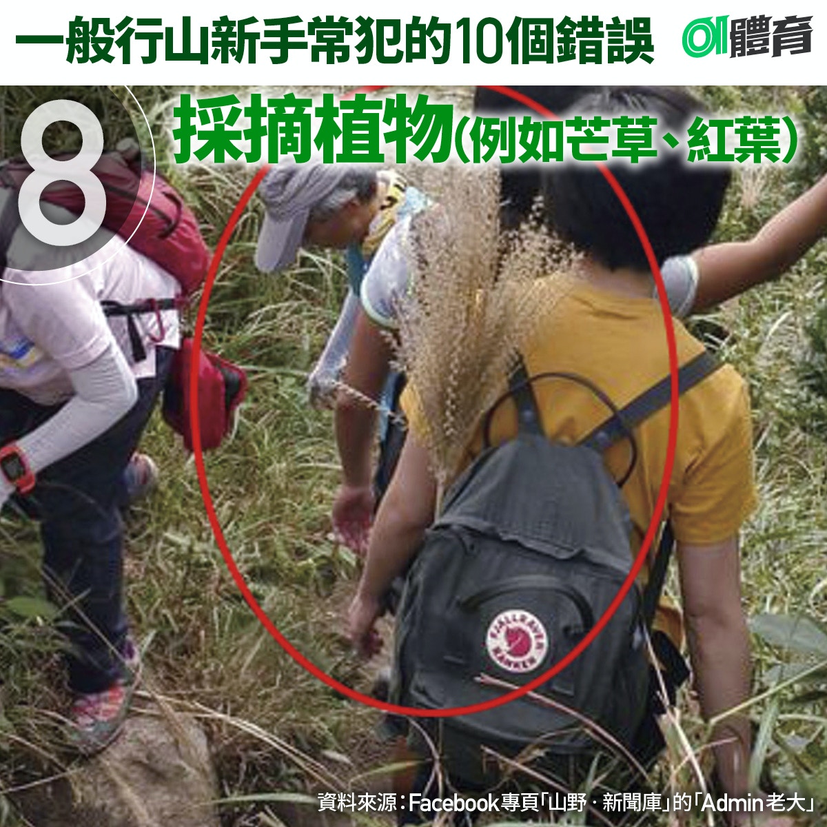 花瓶頂行山路線 探尋花瓶石兼登賞青馬大橋穿越叢林落到迪欣湖