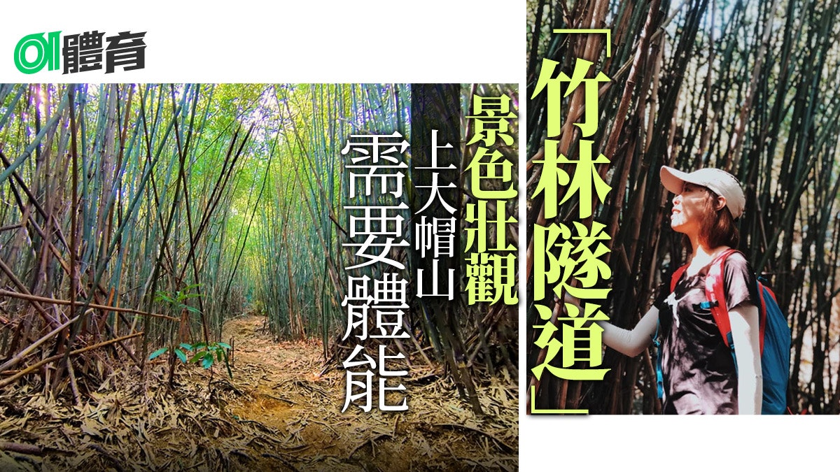 大帽山行山路線|燕岩竹海隧道打卡必到 位置較隱蔽建議多看地圖 大帽山行山路線|燕岩竹海隧道打卡必到 位置較隱蔽建議多看地圖
