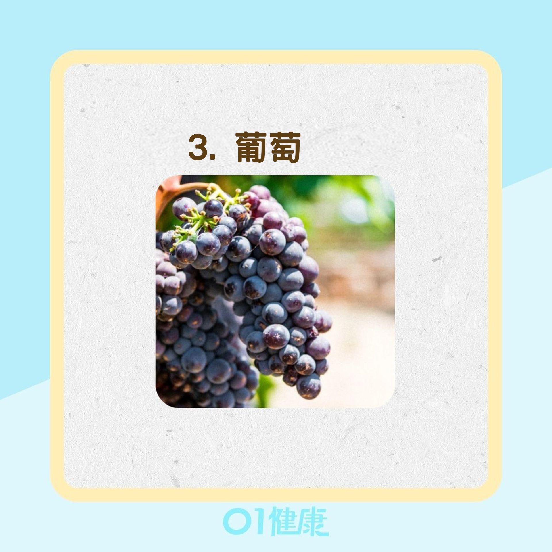6種食物為天然止痛藥(01製圖 / Unsplash @hariprasad000) 6種食物為天然止痛藥(01製圖 / Unsplash @hariprasad000)