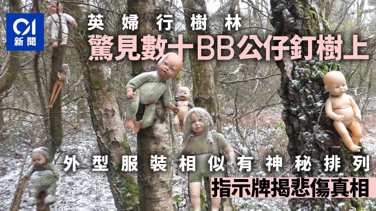 英婦行樹林驚遇詭異一幕 數十BB公仔釘樹上:它們以某種順序排列 英婦行樹林驚遇詭異一幕 數十BB公仔釘樹上:它們以某種順序排列
