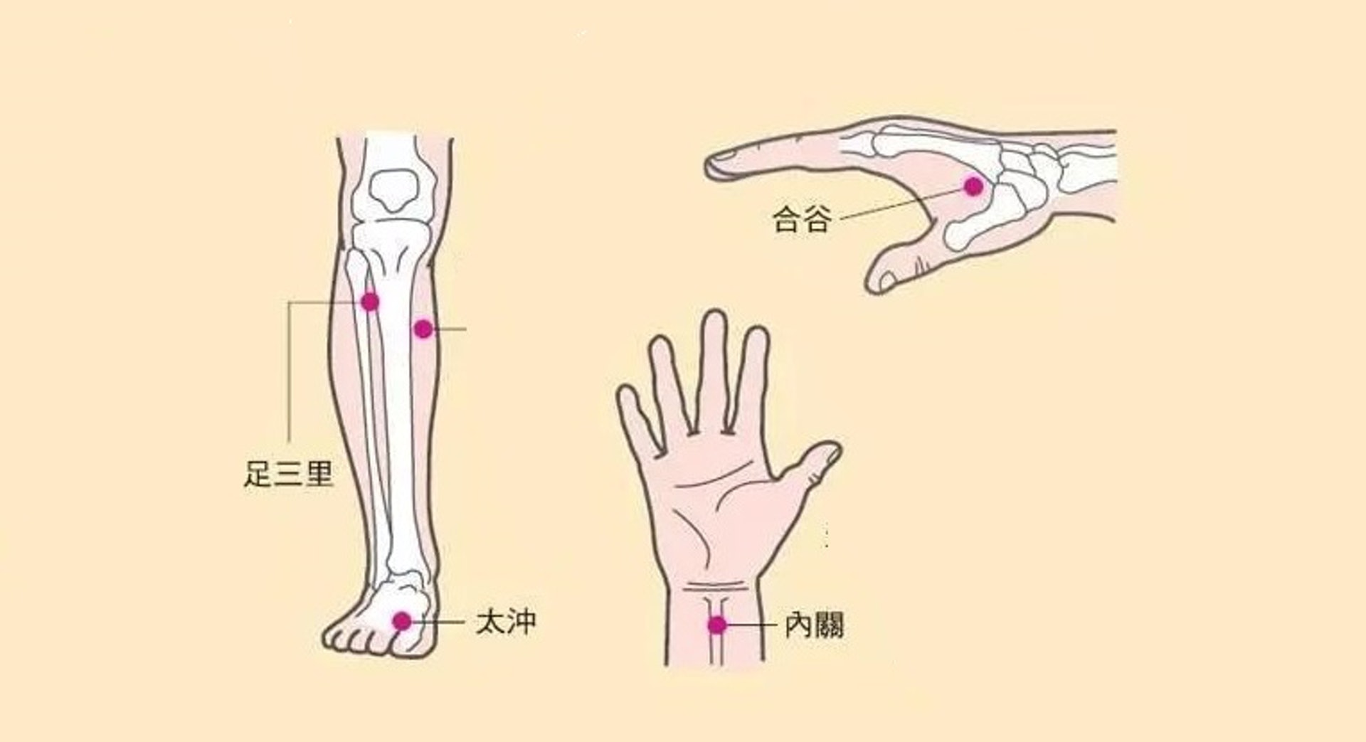 (圖片:zi.media) (圖片:zi.media)