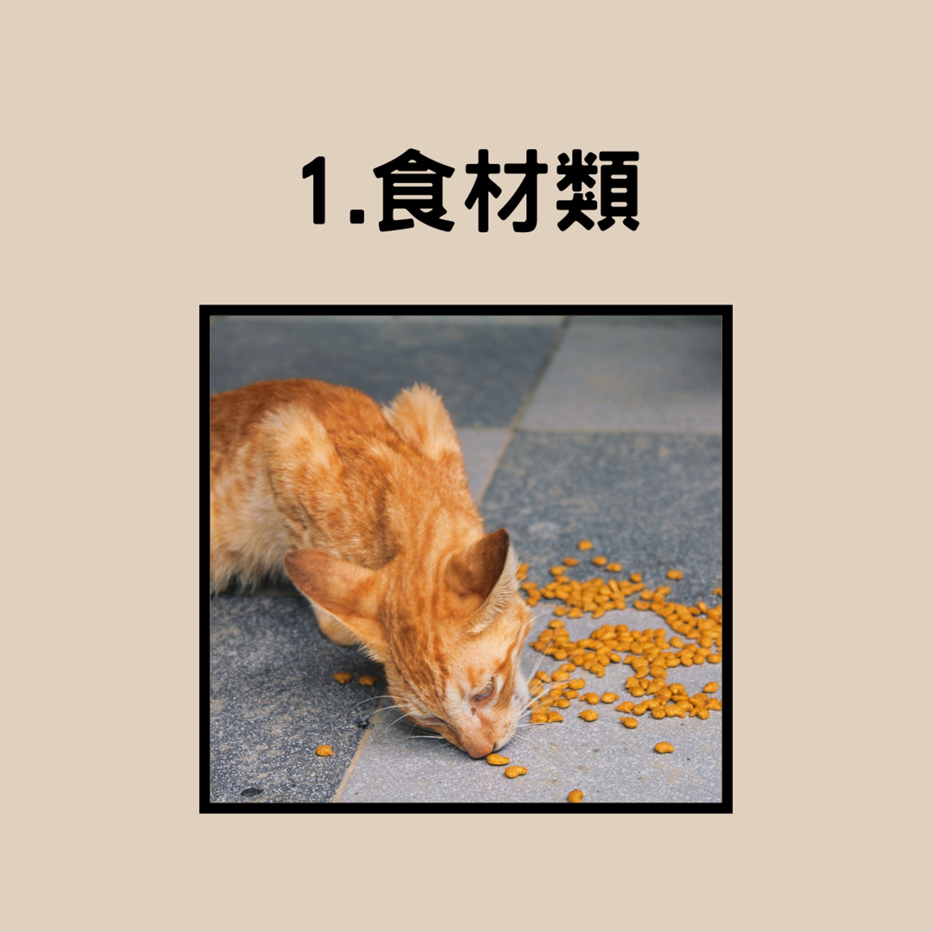 寵物的食物禁忌(01製圖,Unsplash/am) 寵物的食物禁忌(01製圖,Unsplash/am)