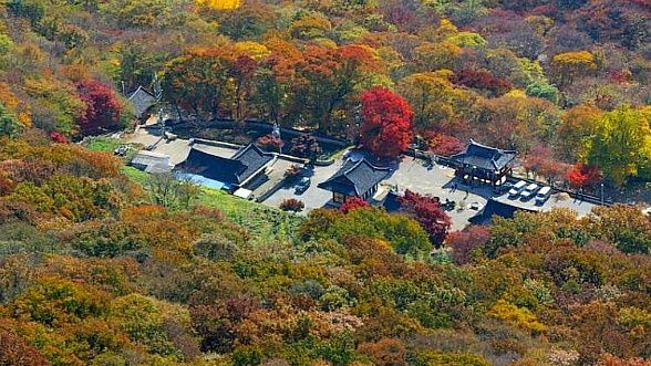 全羅北道罕見4.8級地震 首爾有震感 韓國啟動「一級應急響應」 全羅北道罕見4.8級地震 首爾有震感 韓國啟動「一級應急響應」