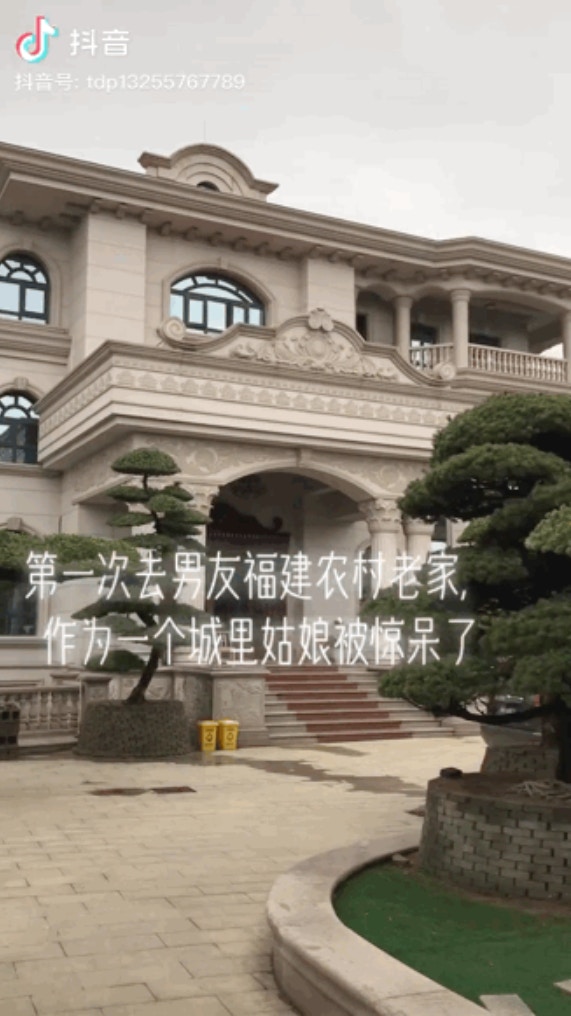這羅馬柱，這歐式浮雕，這是農村別墅嗎？這分明就是宮殿啊！（影片擷圖@抖音號tdp13255767789）