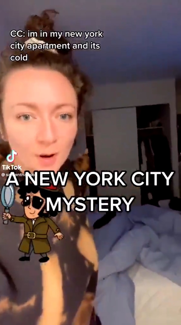 （TikTok@samanthartsoe）