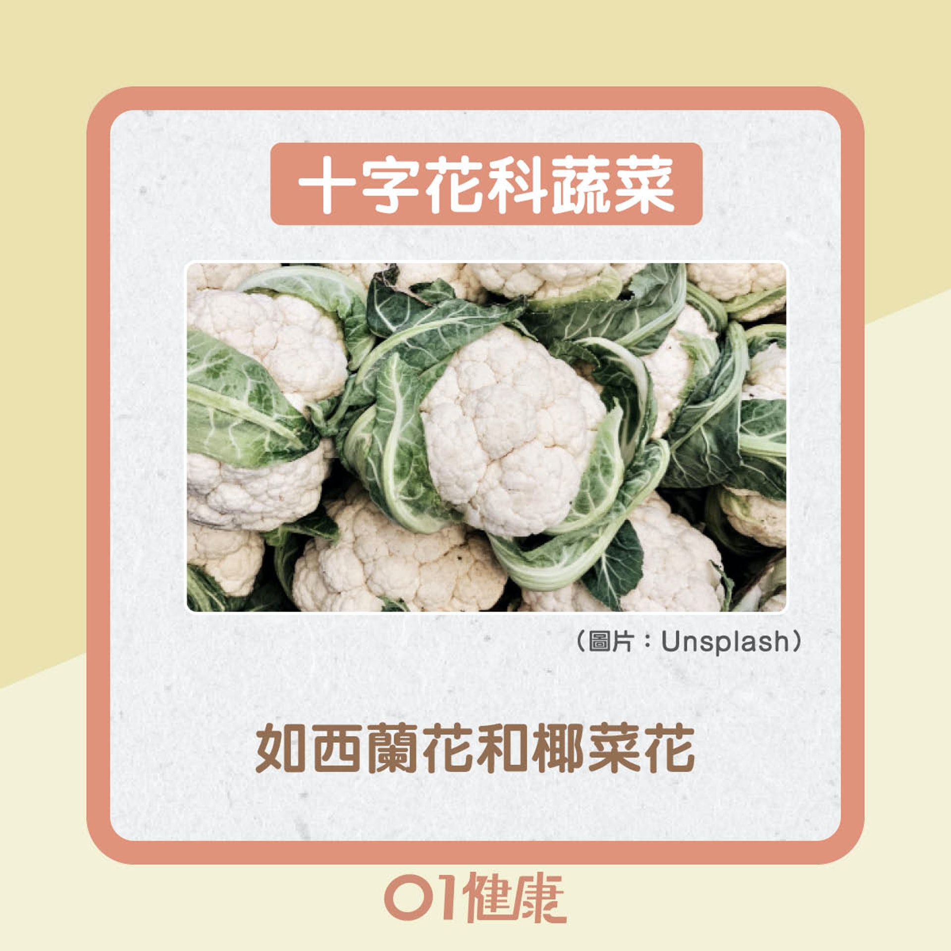 高纖維量的食物（01製圖）