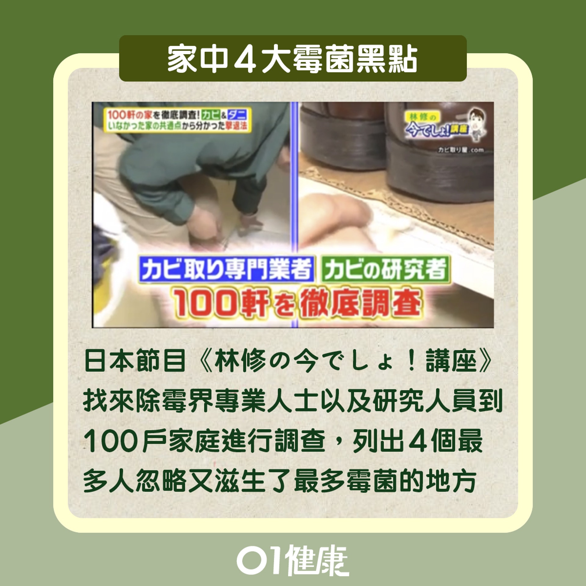 家中4大霉菌黑點(01製圖) 家中4大霉菌黑點(01製圖)