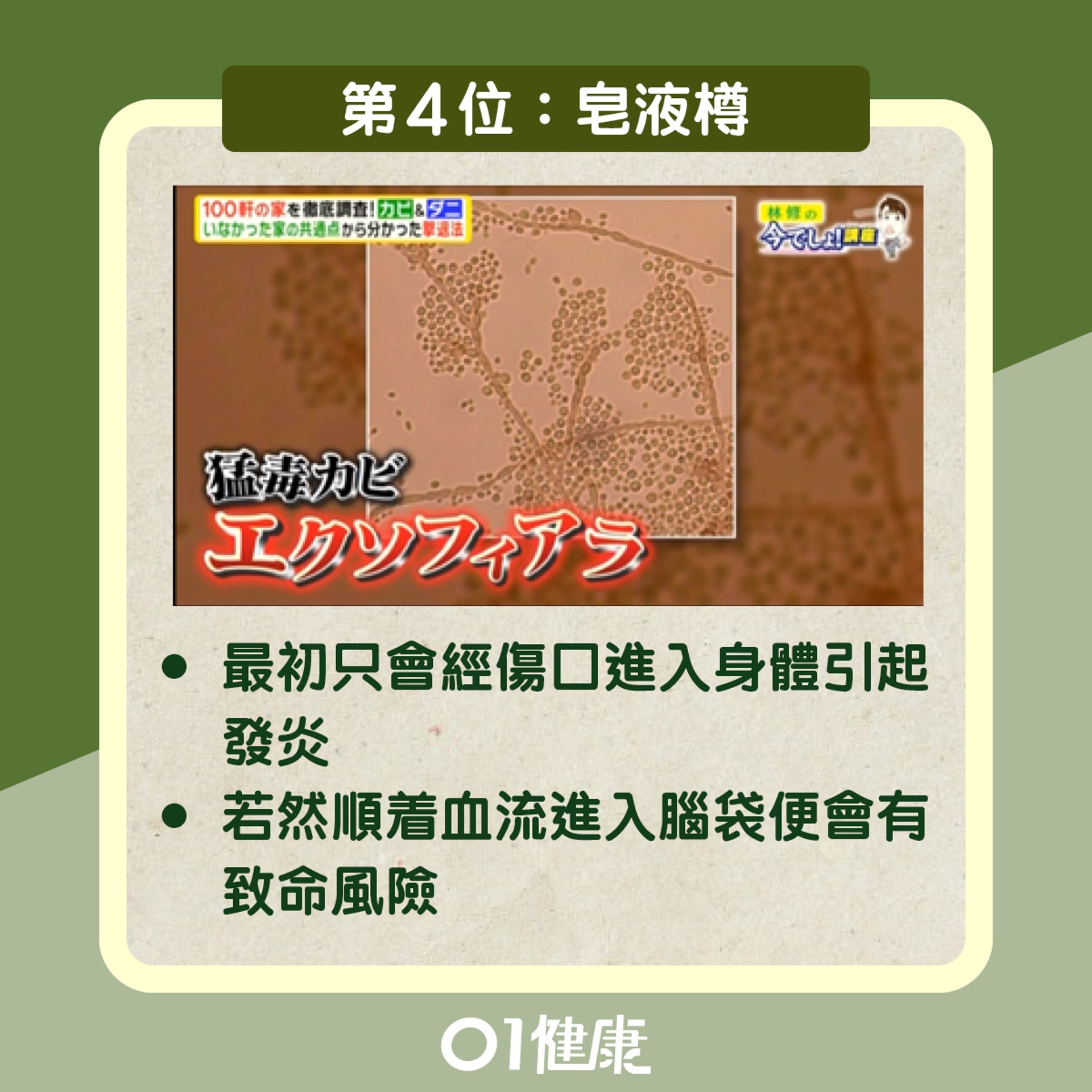 家中4大霉菌黑點(01製圖) 家中4大霉菌黑點(01製圖)