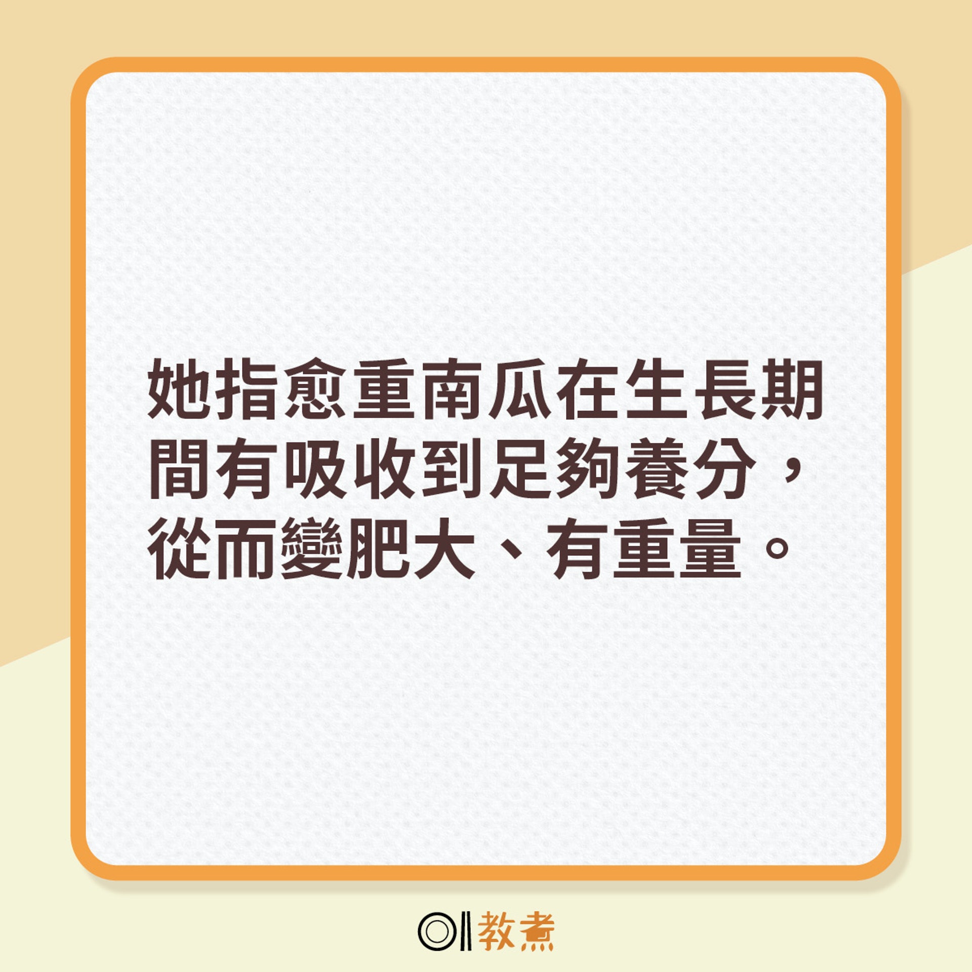 揀南瓜貼士 揀南瓜貼士