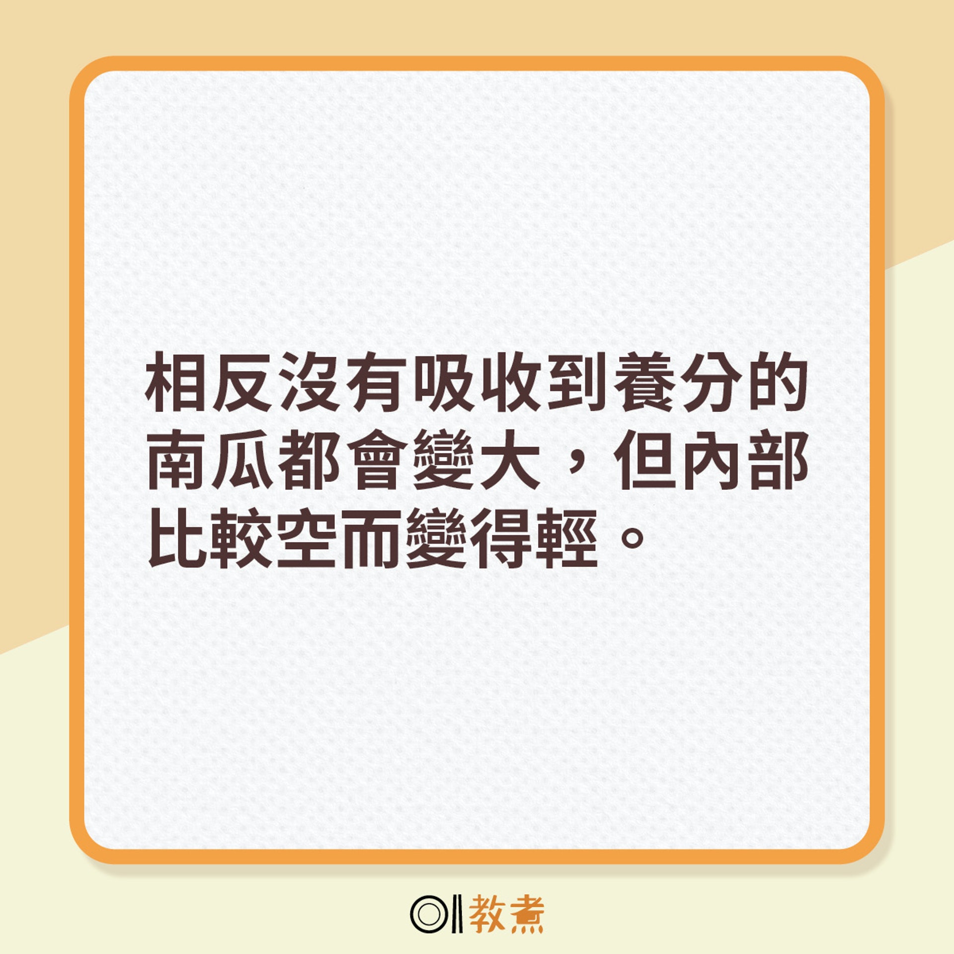 揀南瓜貼士 揀南瓜貼士