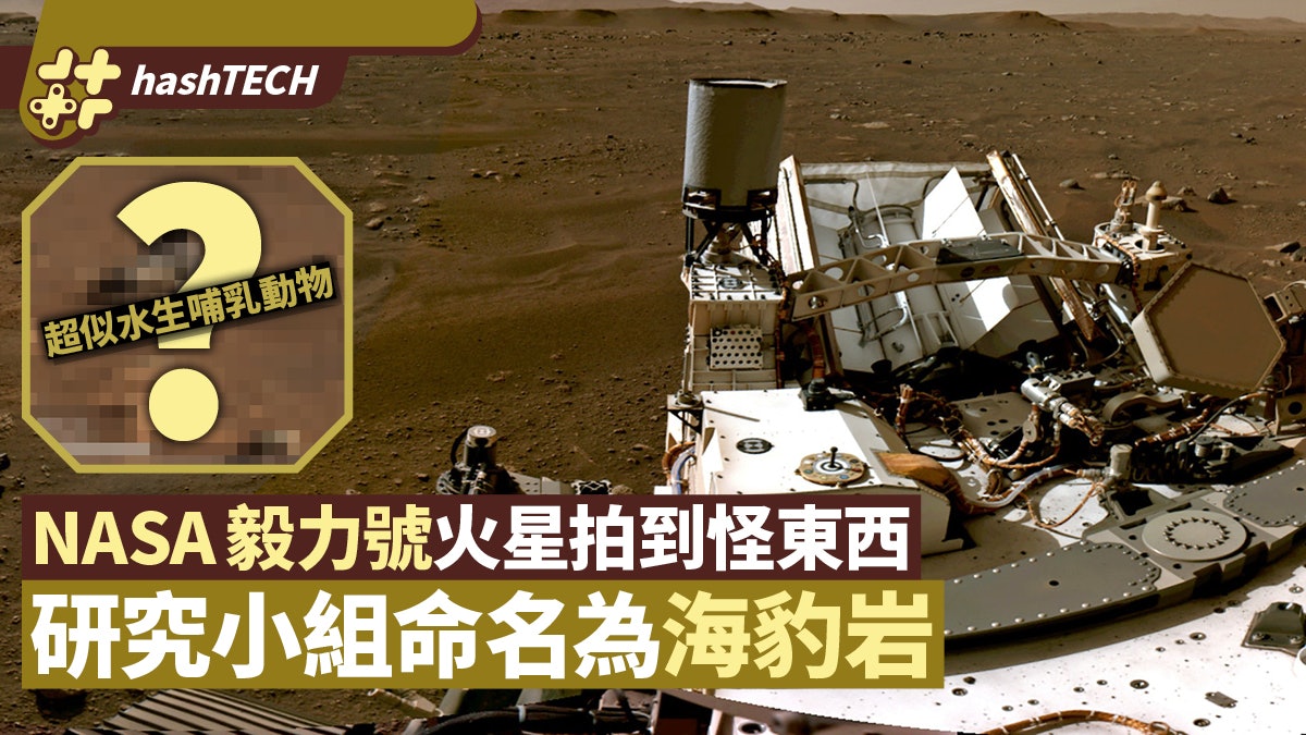 NASA毅力號在火星拍到奇怪東西?研究小組已將它命名為「海豹岩」 NASA毅力號在火星拍到奇怪東西?研究小組已將它命名為「海豹岩」