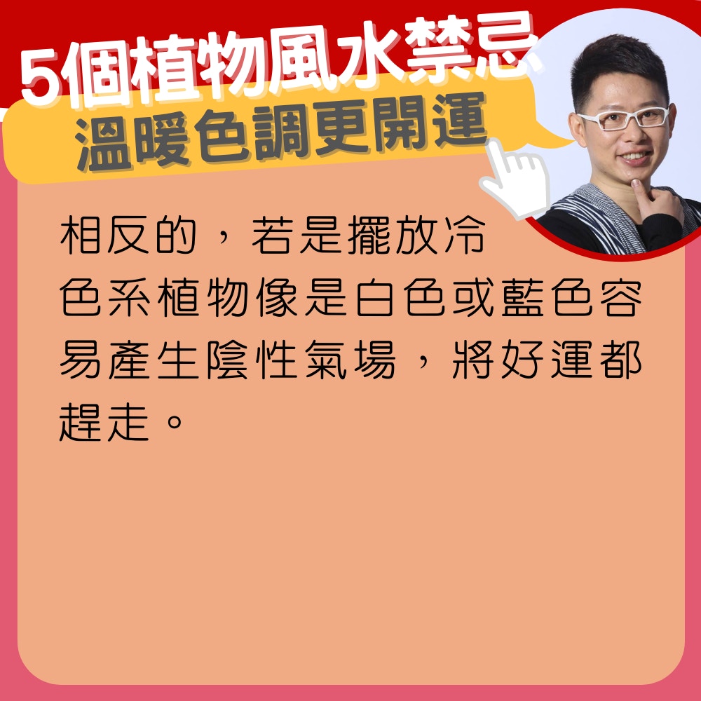 風水禁忌 客廳擺假花原來係大忌 5個植物風水禁忌 6款招財盆栽