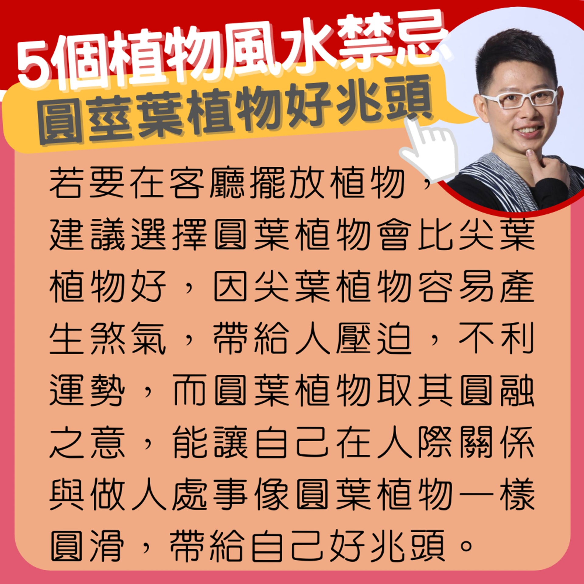 風水禁忌 客廳擺假花原來係大忌 5個植物風水禁忌 6款招財盆栽 風水禁忌 客廳擺假花原來係大忌 5個植物風水禁忌 6款招財盆栽