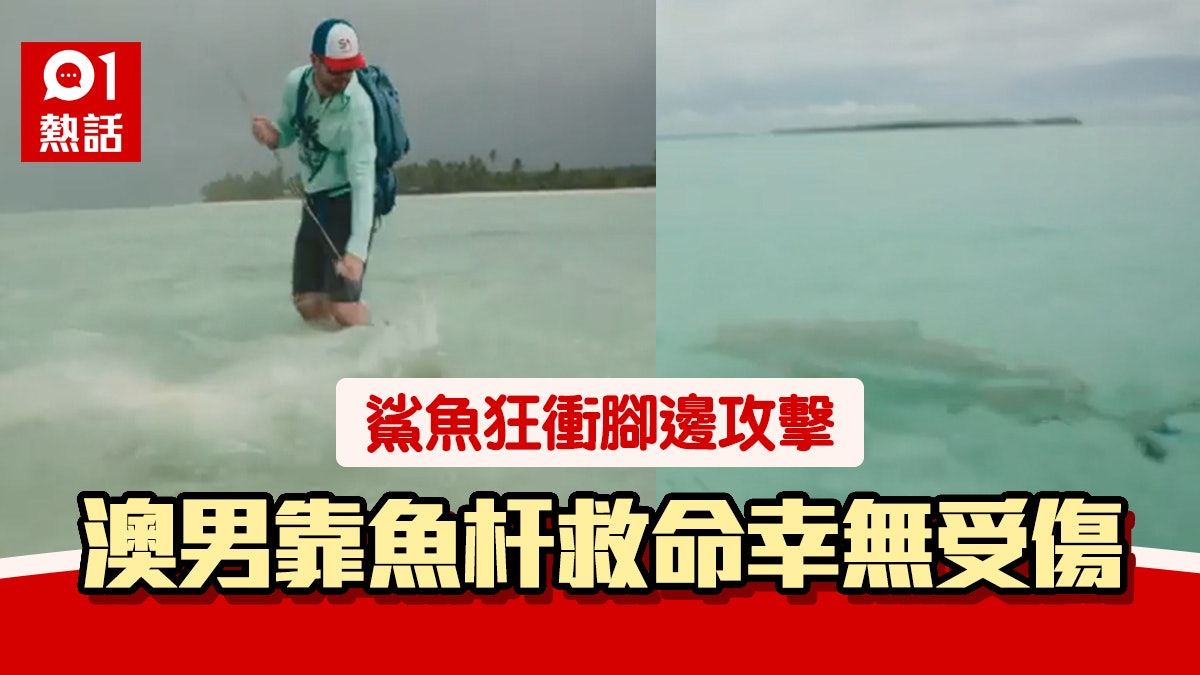 釣魚驚遇鯊魚衝埋腳邊攻擊 澳洲男魚杆當武器還擊 驚險畫面曝光 釣魚驚遇鯊魚衝埋腳邊攻擊 澳洲男魚杆當武器還擊 驚險畫面曝光