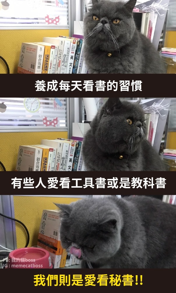 迷因｜1｜不管是有用的、中性的或是有害的meme都會四處散播