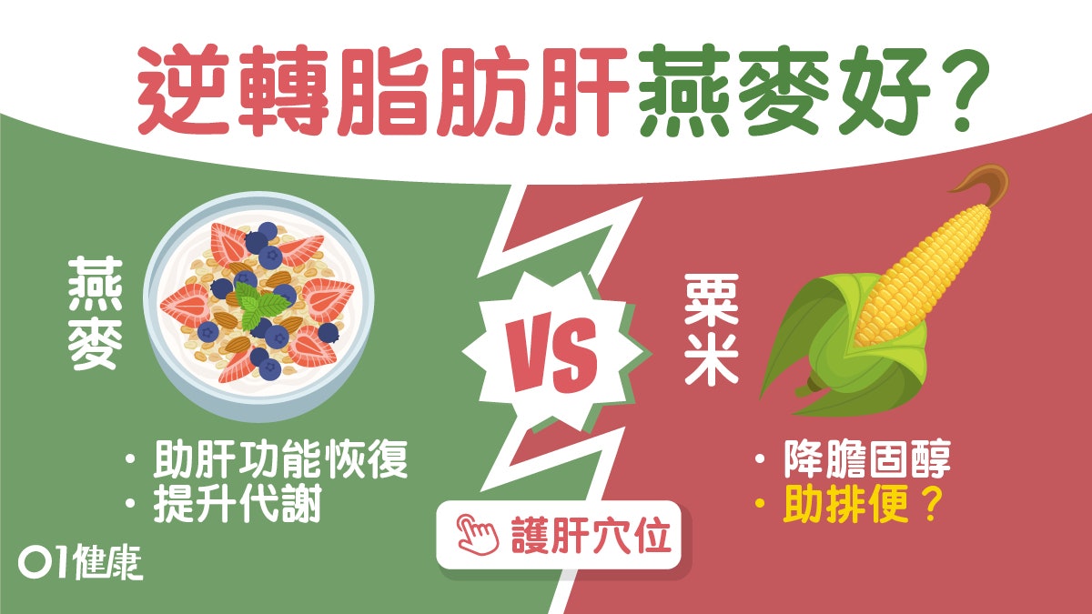 護肝食物|逆轉脂肪肝靠粟米燕麥四種食物 蕎麥降血糖常肚瀉不宜 護肝食物|逆轉脂肪肝靠粟米燕麥四種食物 蕎麥降血糖常肚瀉不宜