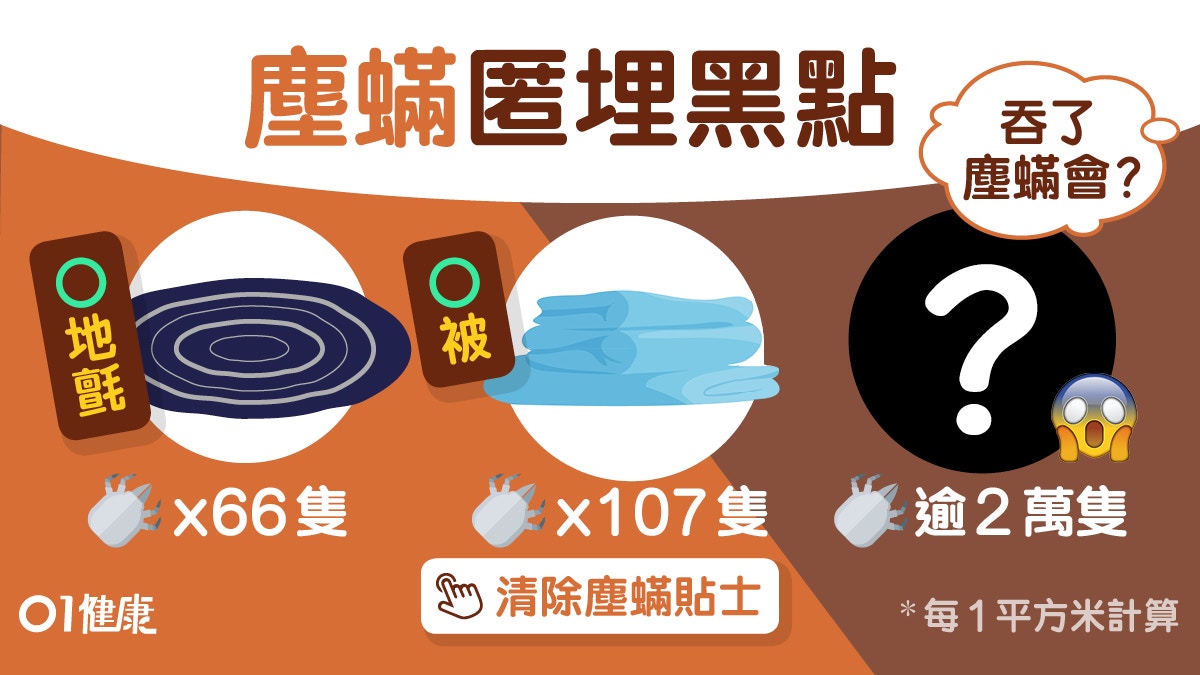 塵蟎黑點 最多塵蟎黑點是棉被255倍 防哮喘氣管炎1招阻塵蟎復活 香港01 健康