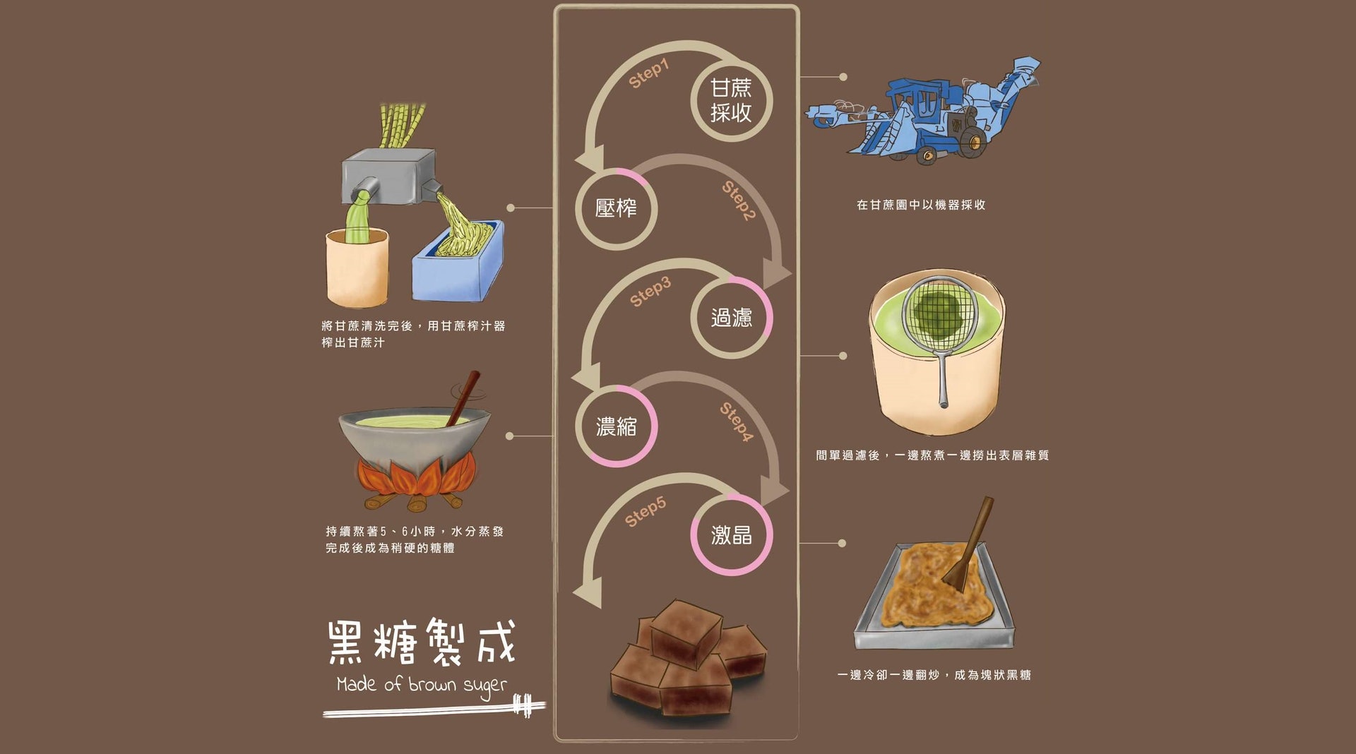 (圖片:hocom.tw) (圖片:hocom.tw)