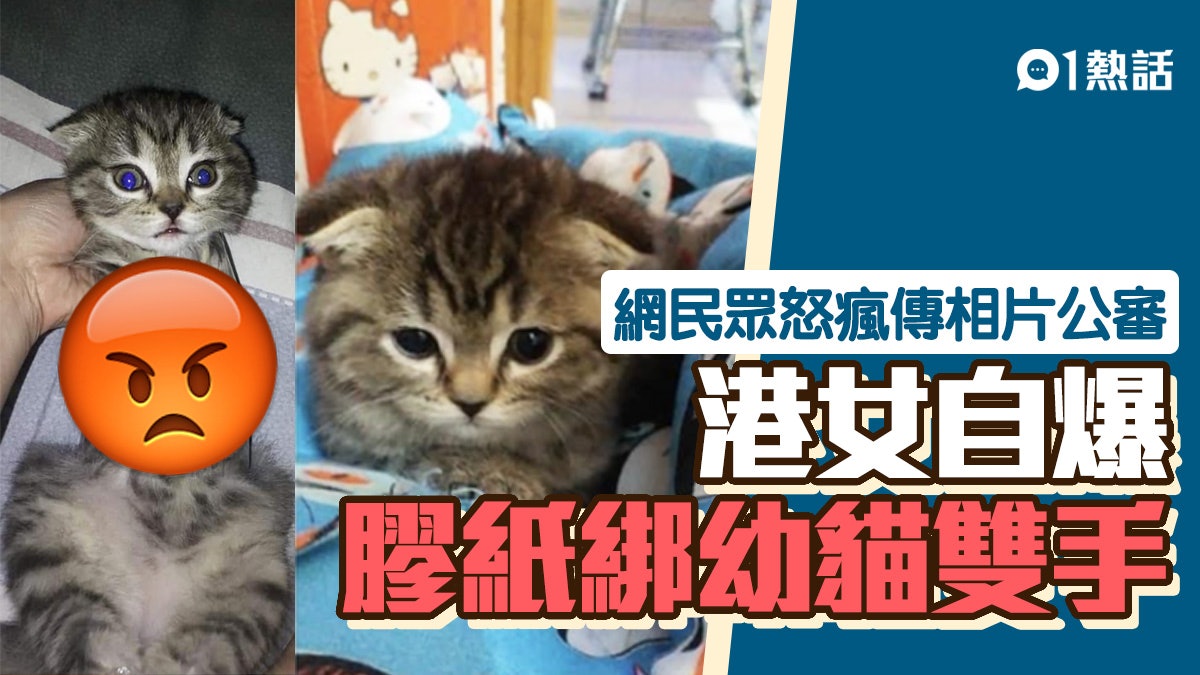 港女自爆以膠紙綁實幼貓雙手網民眾怒斥虐待警拘45歲獨居女子 港女自爆以膠紙綁實幼貓雙手網民眾怒斥虐待警拘45歲獨居女子