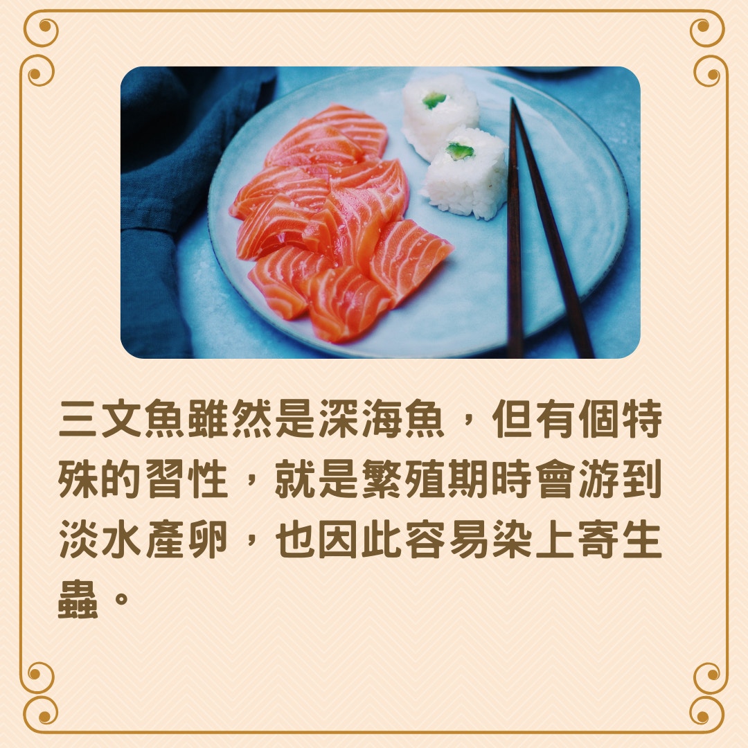 三文魚刺身不在日本高級壽司店餐單上傳有蟲變壞難分辨真唔真 香港01 開罐