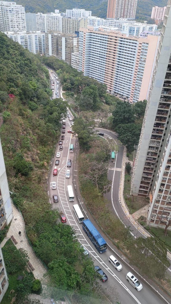 穗禾路早上繁忙時間現 家長車 車龍街坊候車時間增日日捱塞車 香港01 18區新聞