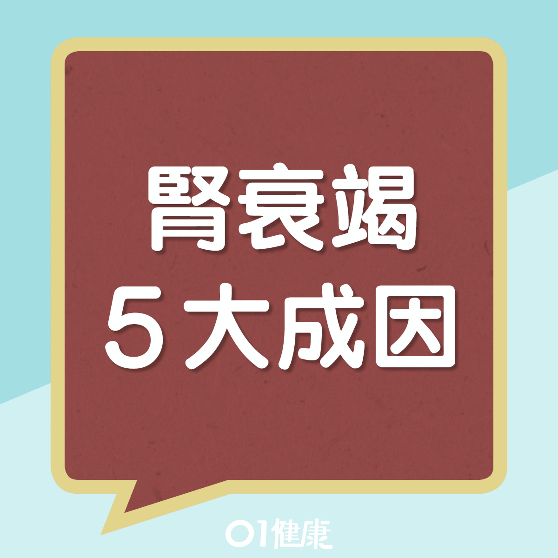 腎衰竭5種成因(01製圖) 腎衰竭5種成因(01製圖)