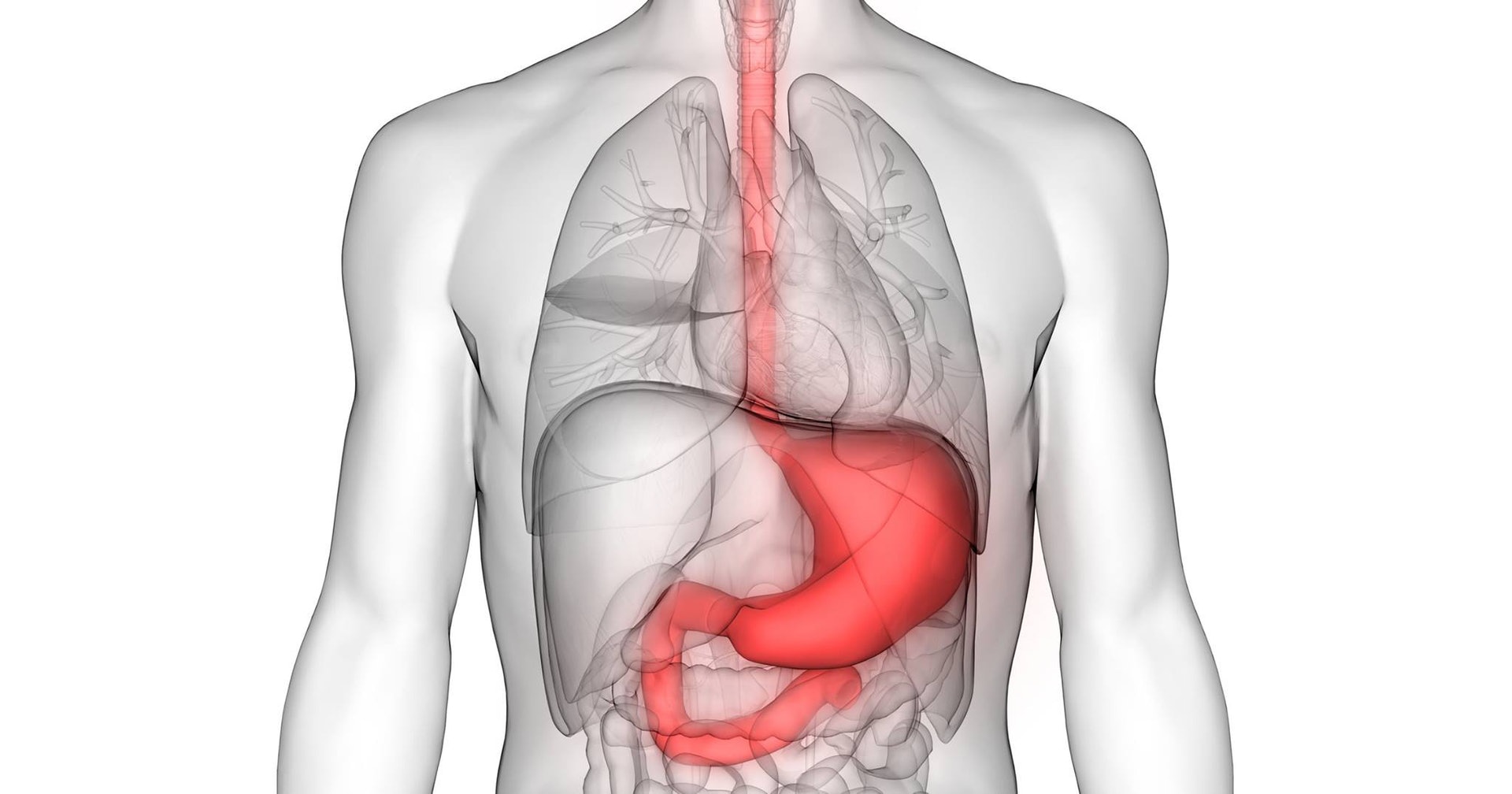 胃癌患者經手術切除部分或整個胃部後，在多加留神的情況下，仍可照常飲食。（圖片：bajieyou）