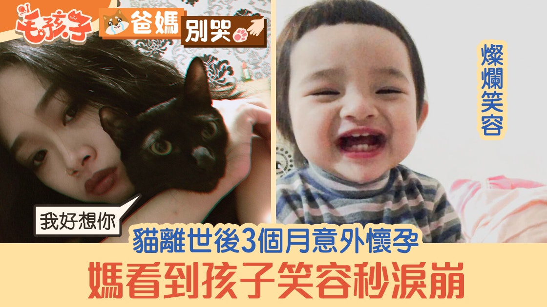 貓離世3個月後媽意外懷孕 見孩子露熟悉笑容秒淚崩:牠回來了! 貓離世3個月後媽意外懷孕 見孩子露熟悉笑容秒淚崩:牠回來了!