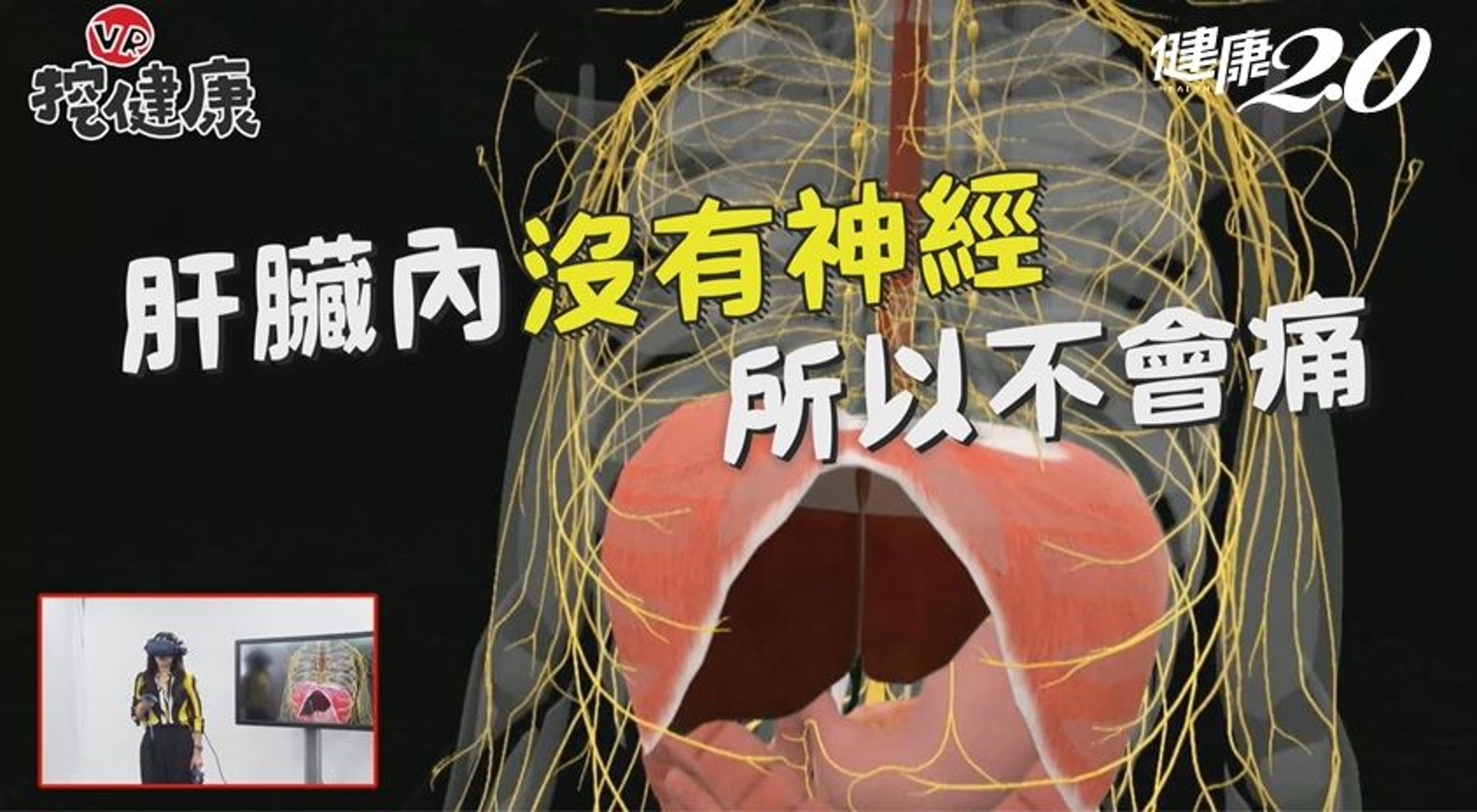 肝臟內卻沒有神經系統,即使長腫瘤也不會感到疼痛,通常肝腫瘤大到刺激到橫隔膜,才會感到不舒服。(健康2.0授權使用) 肝臟內卻沒有神經系統,即使長腫瘤也不會感到疼痛,通常肝腫瘤大到刺激到橫隔膜,才會感到不舒服。(健康2.0授權使用)