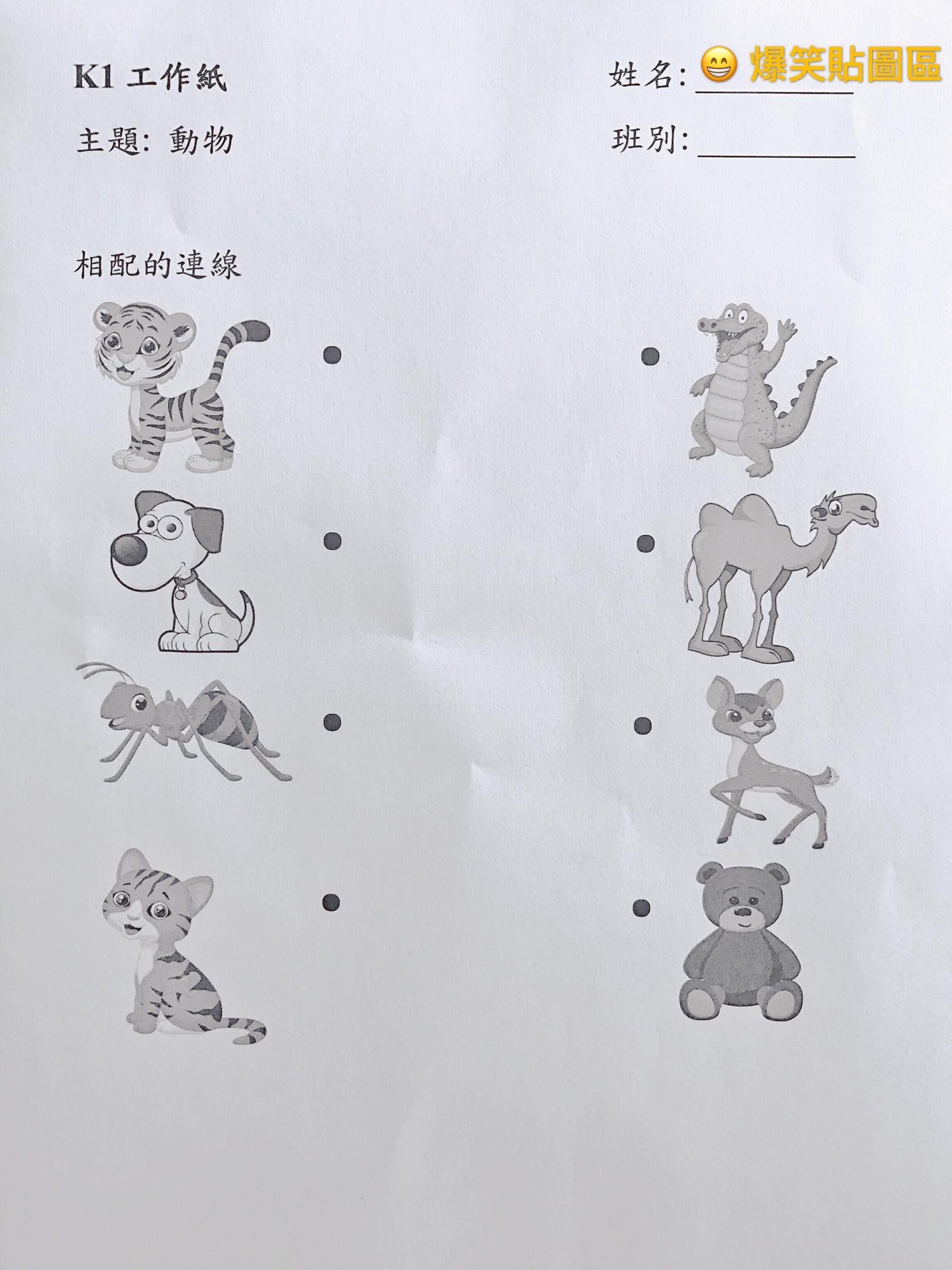 網傳超難k1工作紙將8隻動物配對連線正確答案令網民搲爆頭 香港01 熱爆話題