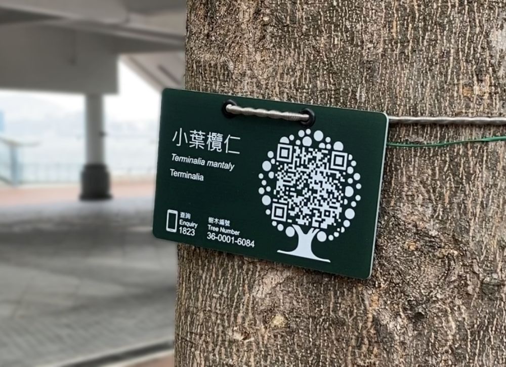 發展局推展二維碼樹木標籤以便匯報問題樹木　料明年初完成20萬棵