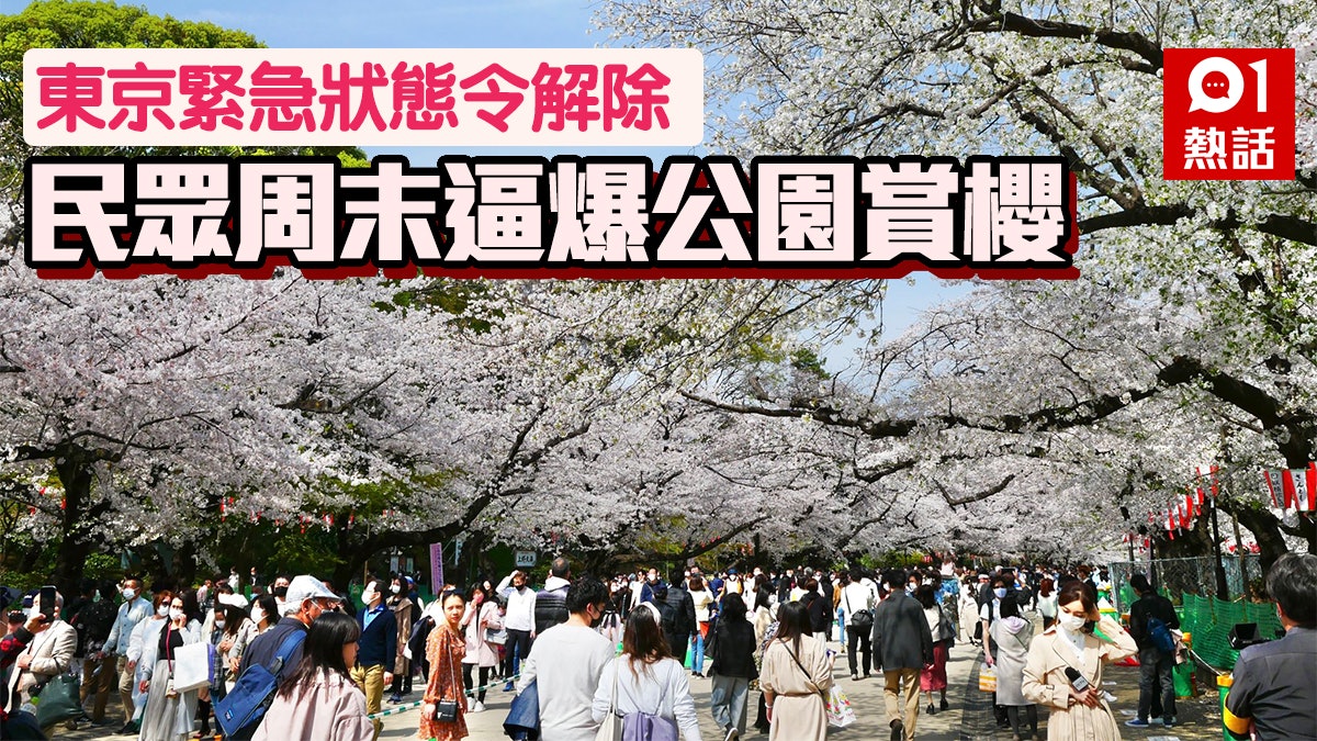 日本櫻花盛開1都3縣解除緊急狀態令東京民眾逼爆上野公園 日本櫻花盛開1都3縣解除緊急狀態令東京民眾逼爆上野公園