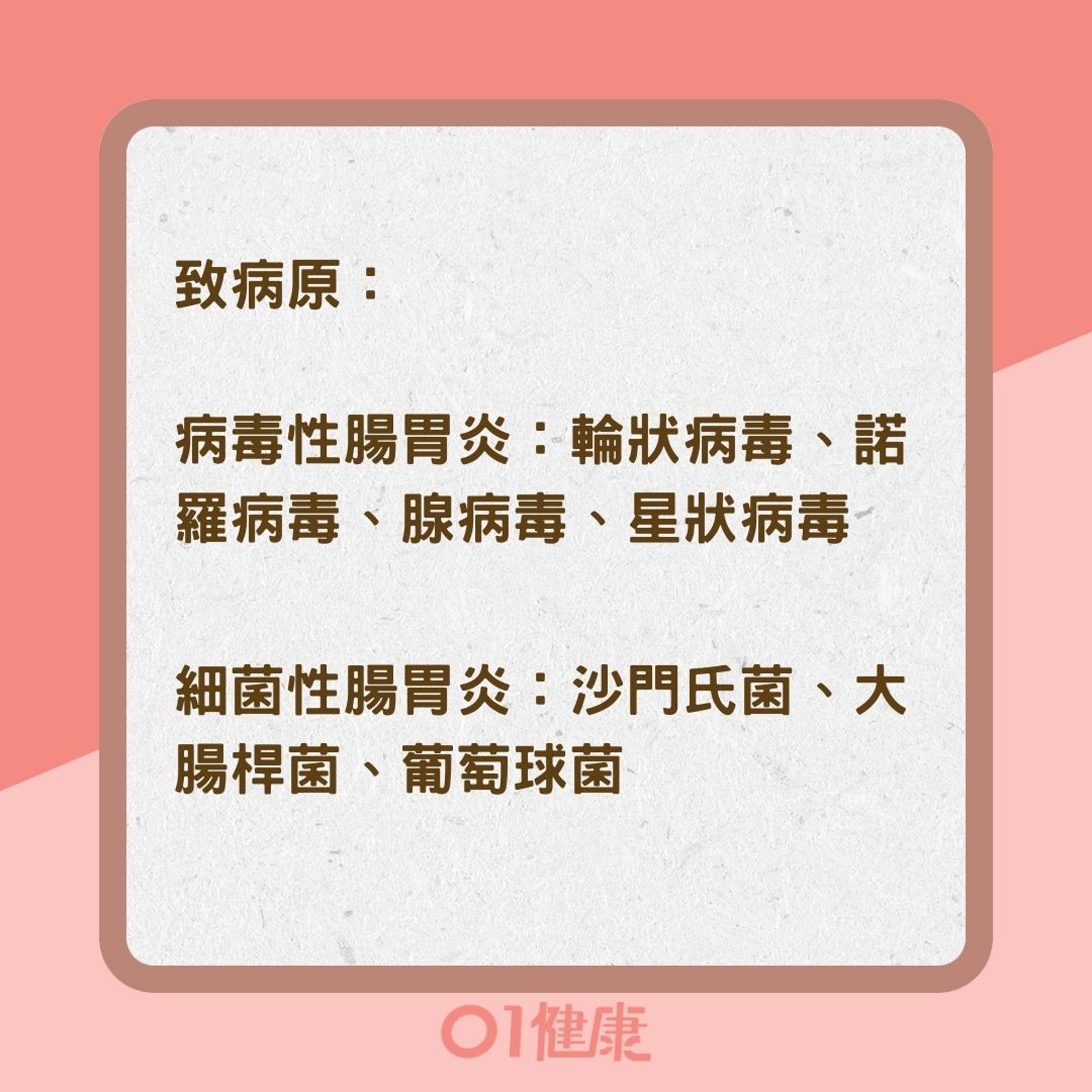 感染性腸胃炎類型(01製圖) 感染性腸胃炎類型(01製圖)