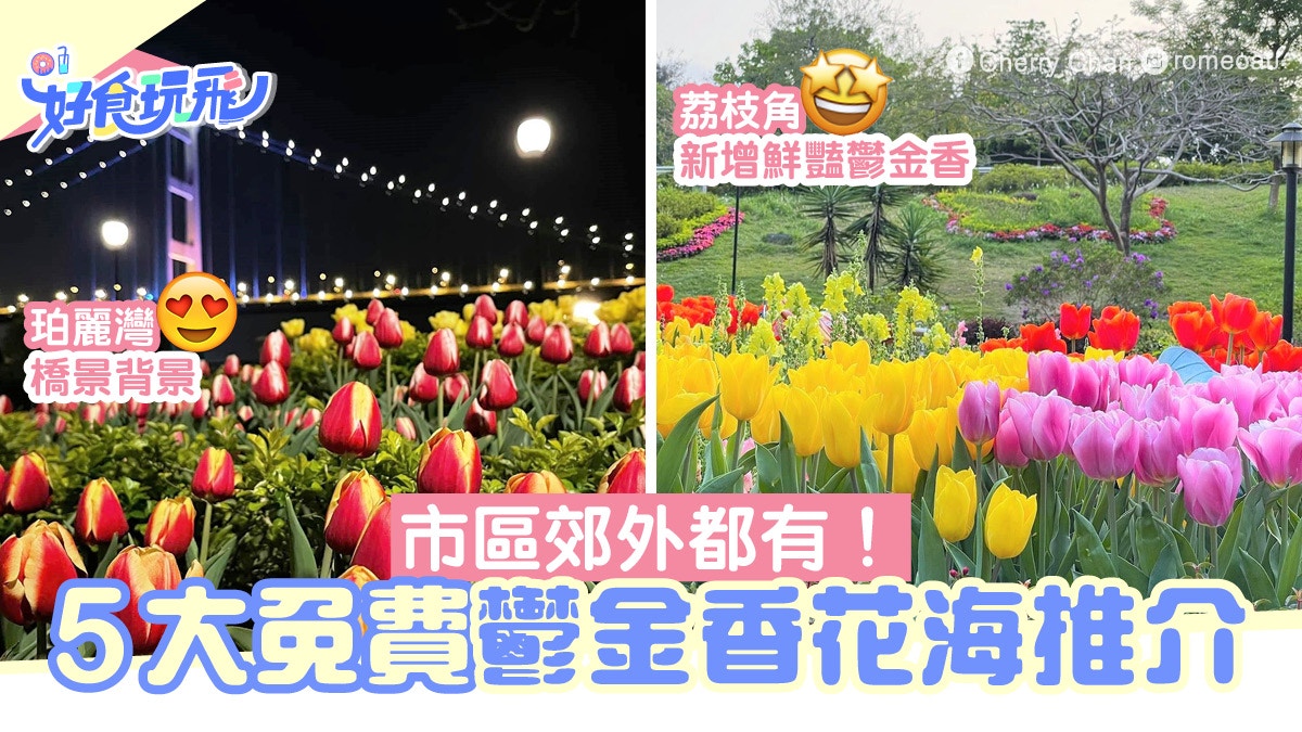 5大鬱金香花海全免費荔枝角公園多種花卉打卡馬灣有浪漫橋景 5大鬱金香花海全免費荔枝角公園多種花卉打卡馬灣有浪漫橋景