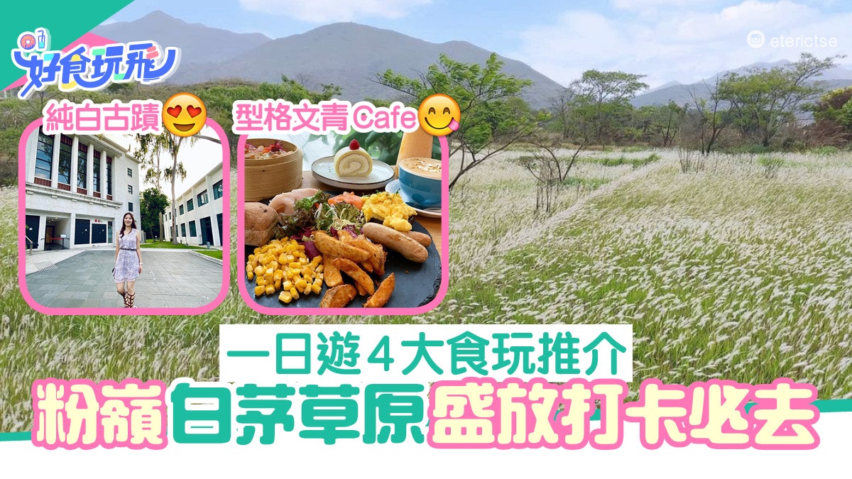 粉嶺一日遊4大食玩推介坪洋村白茅草原打卡活化古蹟cafe歎tea 香港01 旅遊 粉嶺一日遊4大食玩推介坪洋村白茅草原打卡活化古蹟cafe歎tea 香港01 旅遊