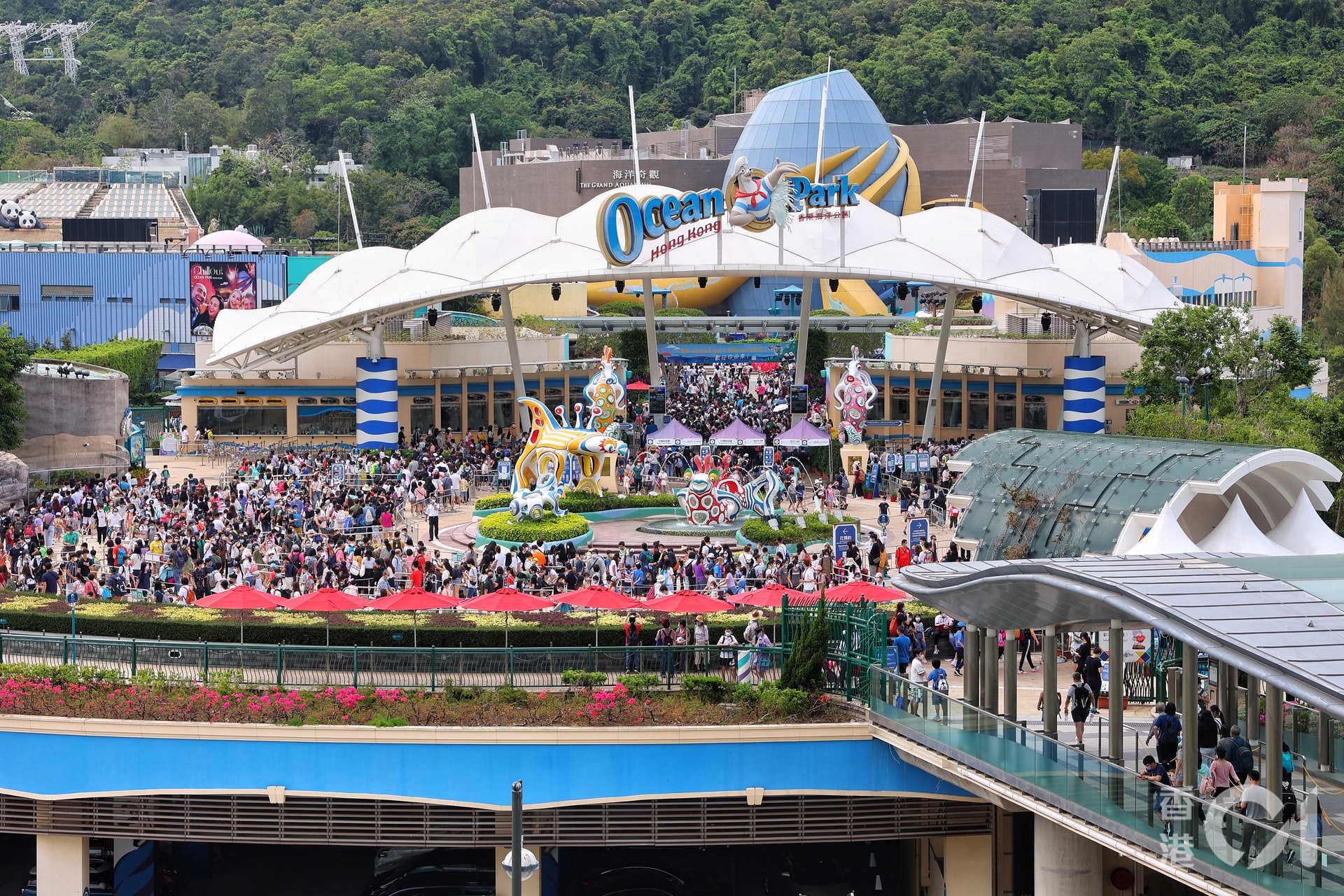 2021年6月3日至30日期間入海洋公園、並已接種最少一劑疫苗的訪客,可每人獲贈一套園內優惠券。(資料圖片/羅君豪攝) 2021年6月3日至30日期間入海洋公園、並已接種最少一劑疫苗的訪客,可每人獲贈一套園內優惠券。(資料圖片/羅君豪攝)