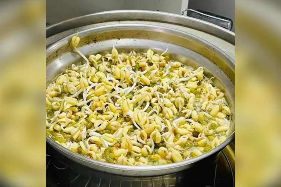 台女煮綠豆沙做錯一件事發芽　一煲豆芽網民恥笑：開心農場
