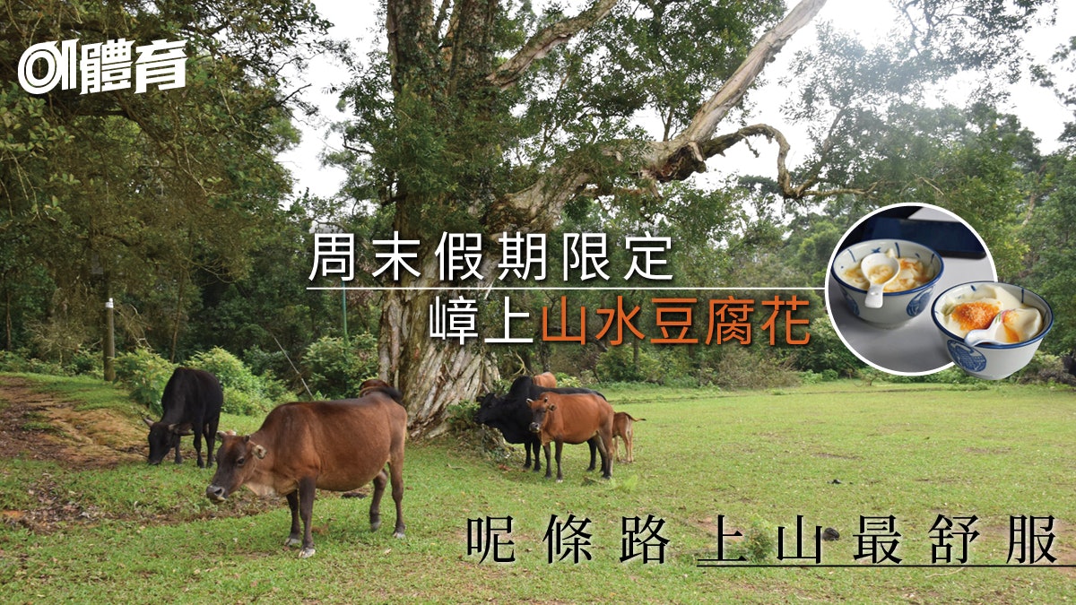 西貢行山路線|嶂上郊遊徑平緩斜度登高 食完山水豆腐花落榕樹澳 西貢行山路線|嶂上郊遊徑平緩斜度登高 食完山水豆腐花落榕樹澳